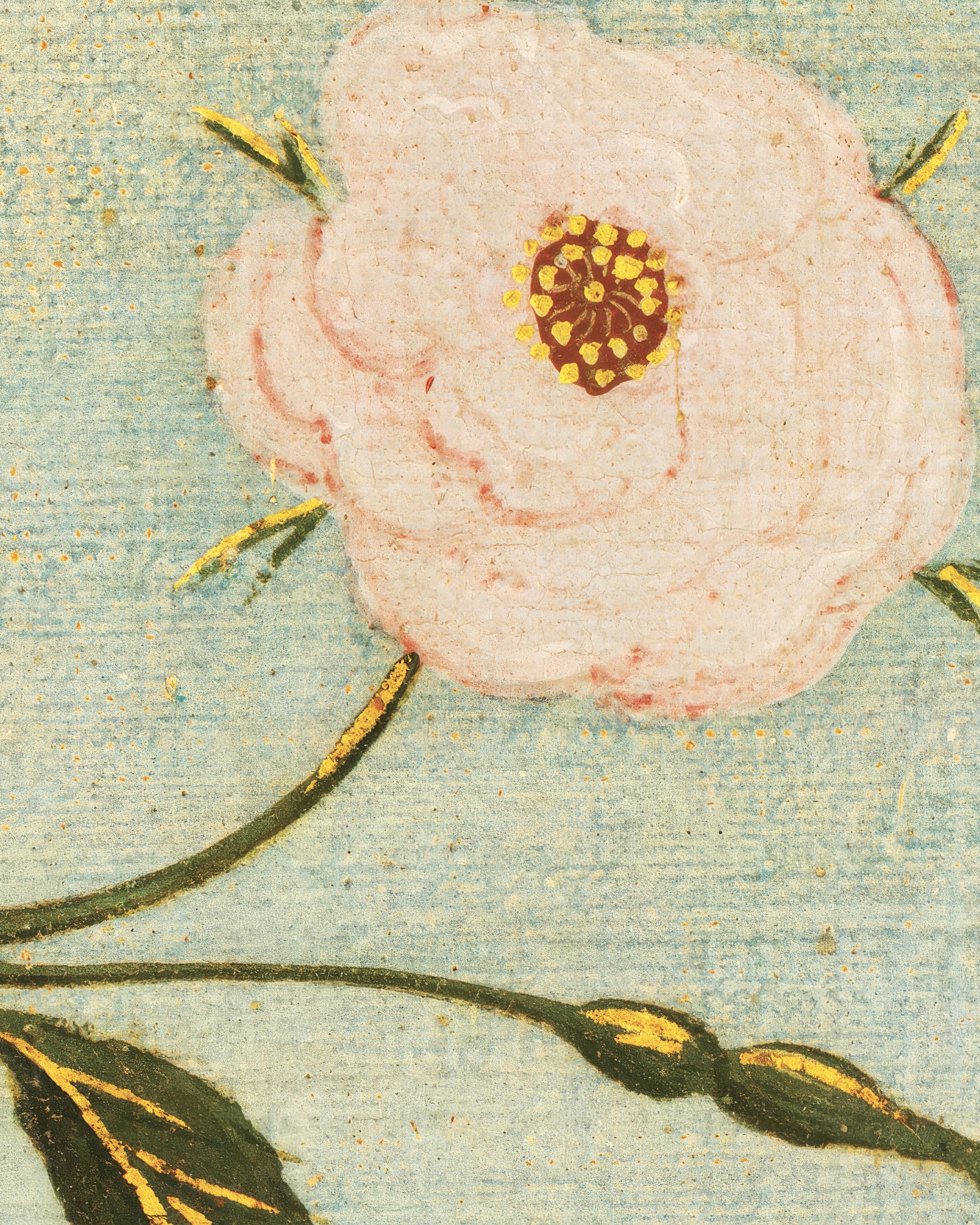Close-up of a pink flower with a yellow center on a textured blue background