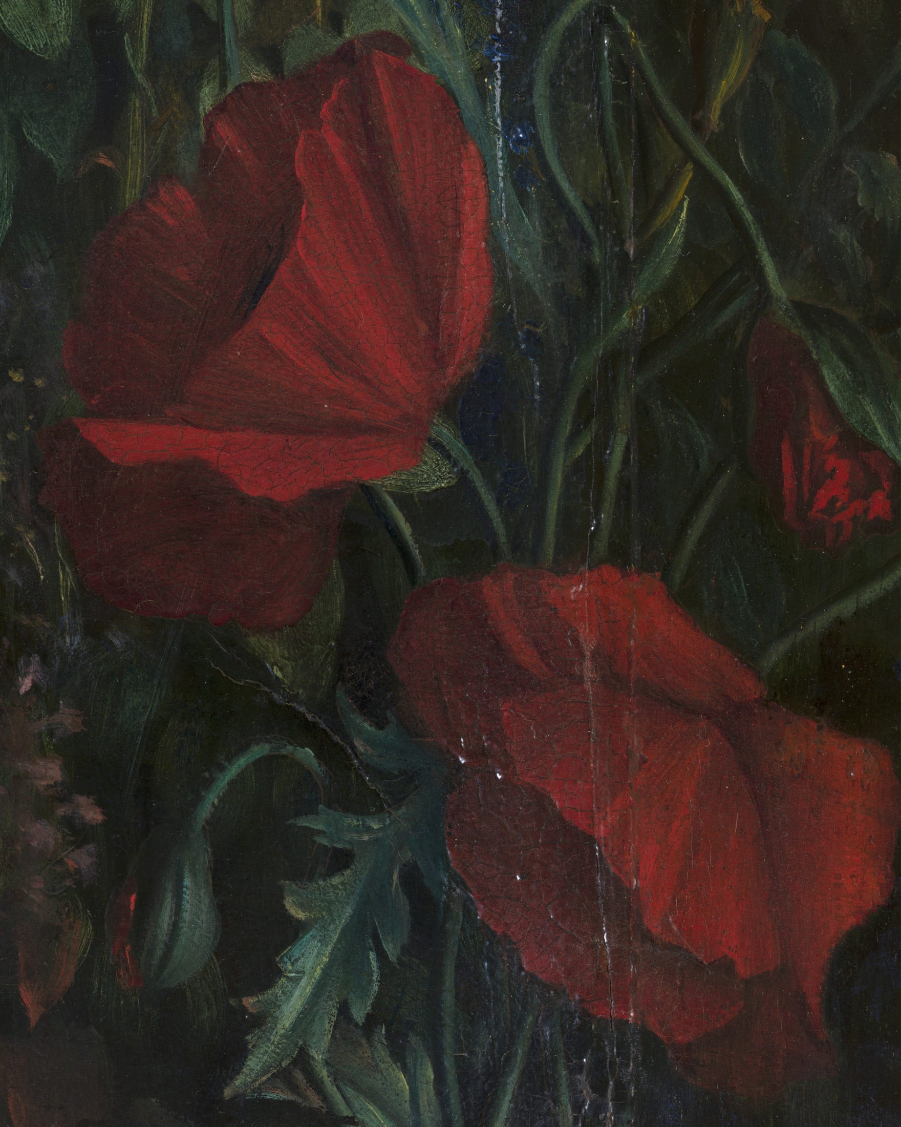 Louis Janmot "Fleur des Champs" Hand Detail - Red Tulips Art Print