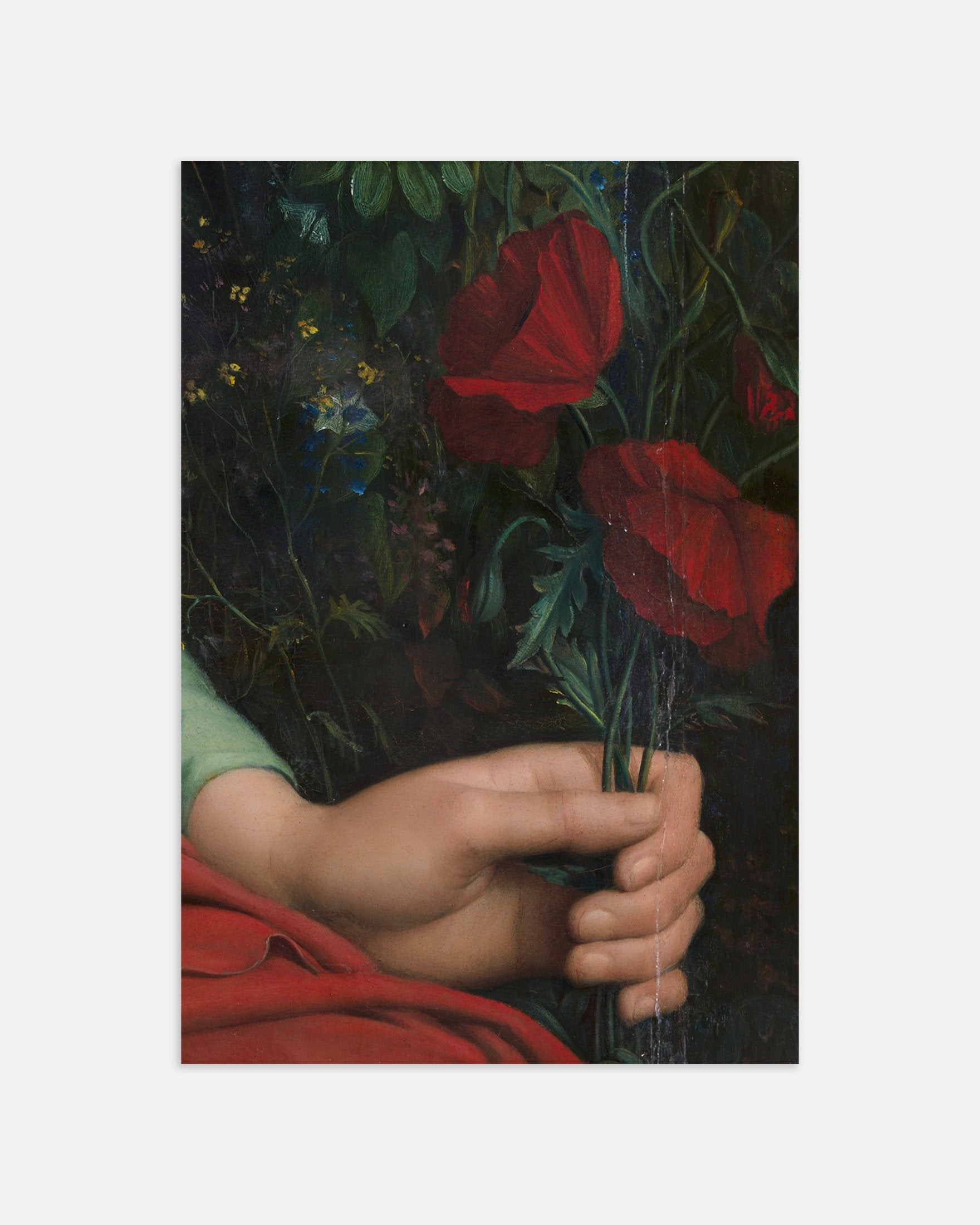 Poster of Louis Janmot "Fleur des Champs" Hand Detail - Red Tulips Art Print, thumbnail