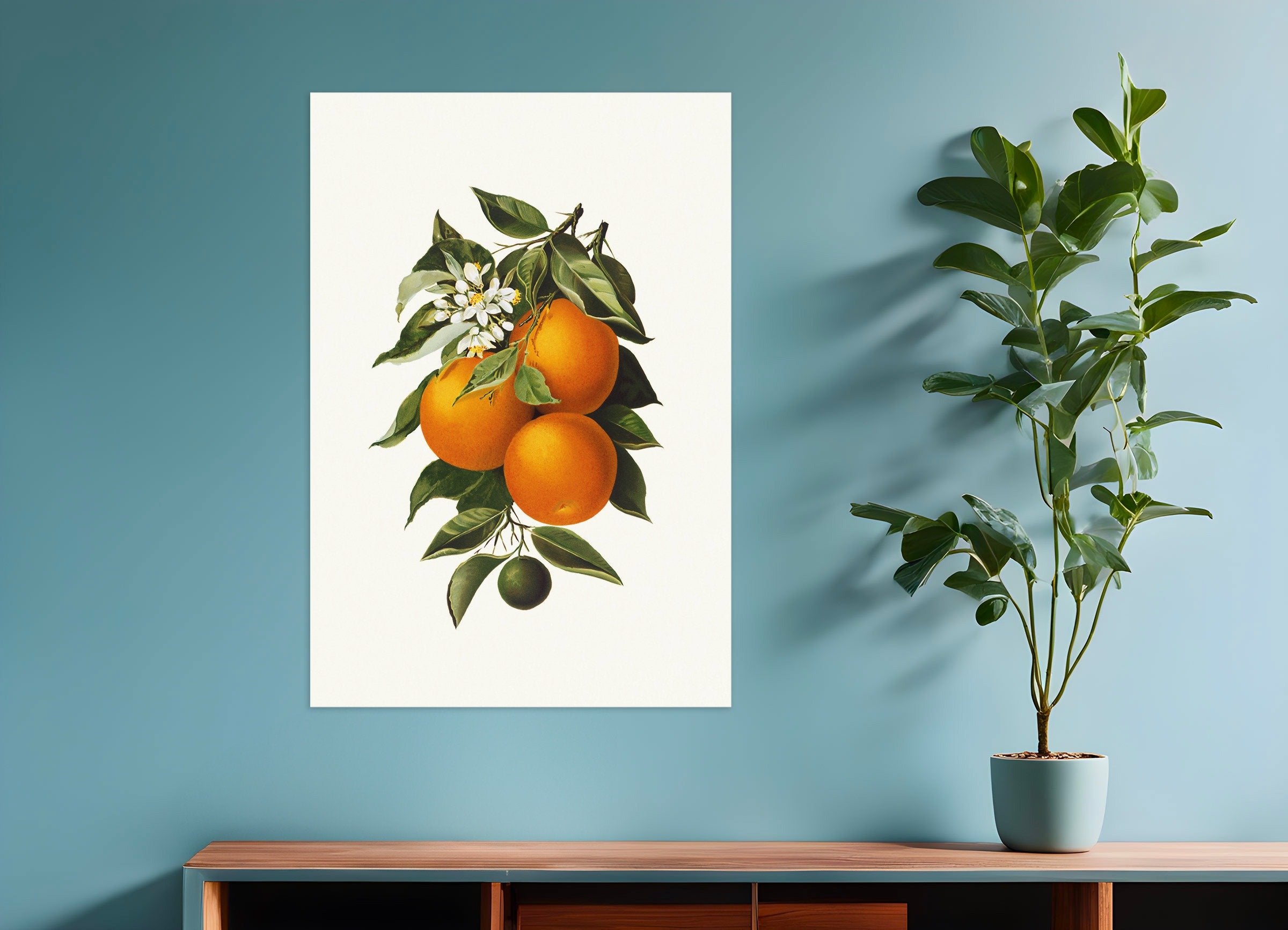 Poster of Oranges Poster