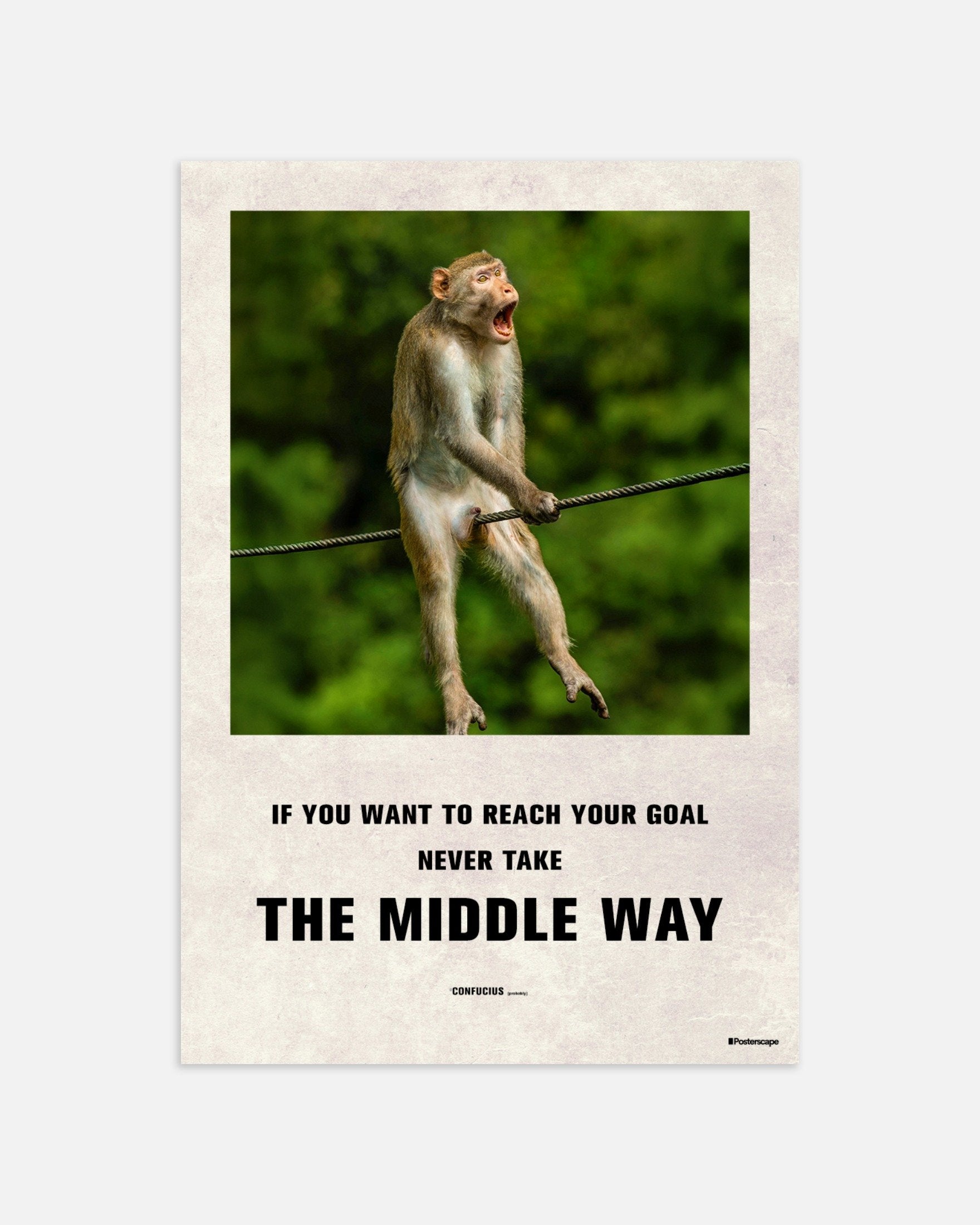 Poster of The Middle Way - Poster, thumbnail