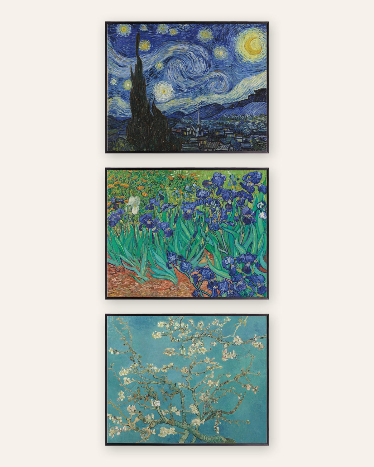 Van Gogh-postere, sett med 3: Stjernenatt, Iris og Mandelblomster, i svarte metallrammer