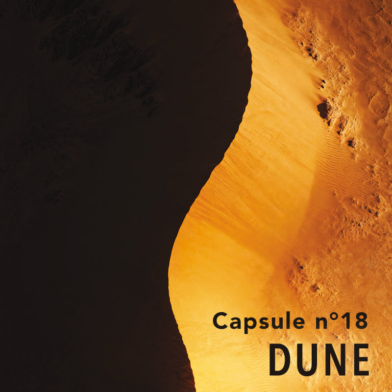 Dune posters art collection