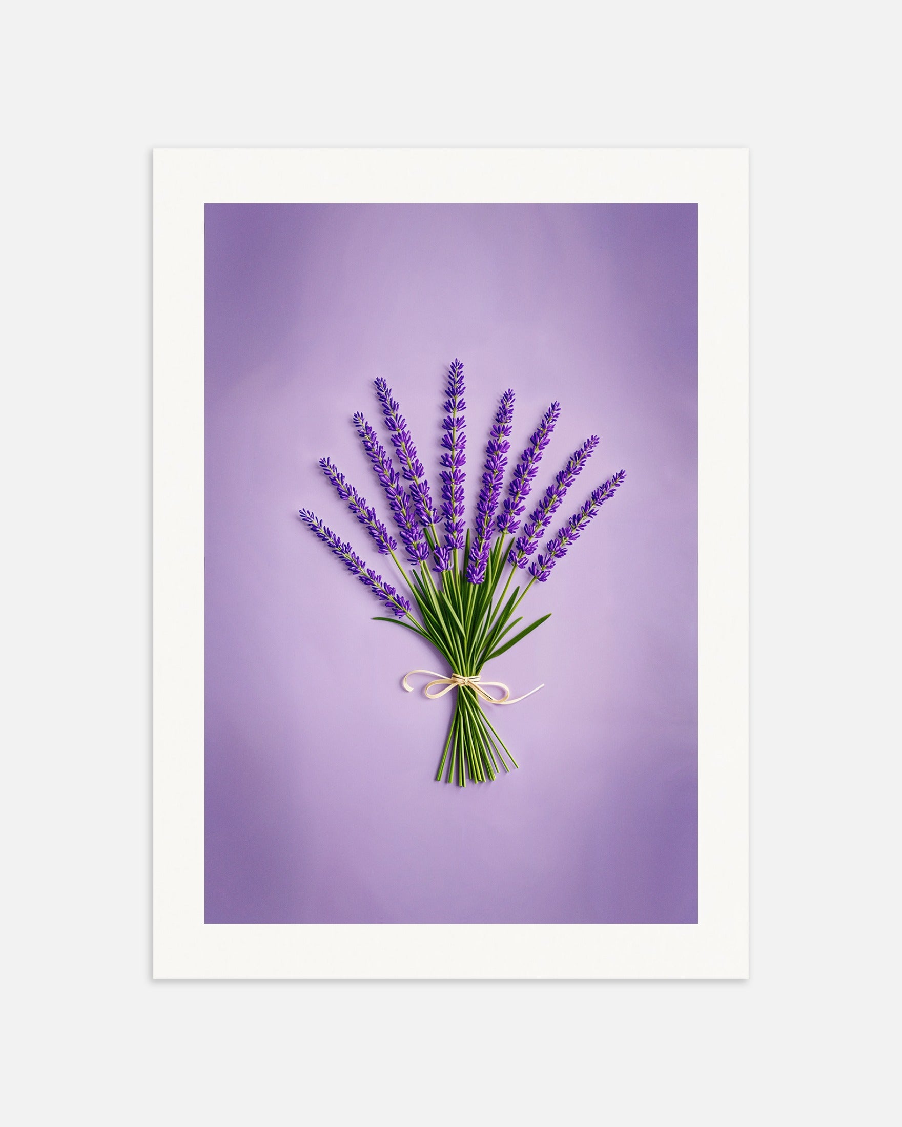 Poster: Lavender from Provence, none