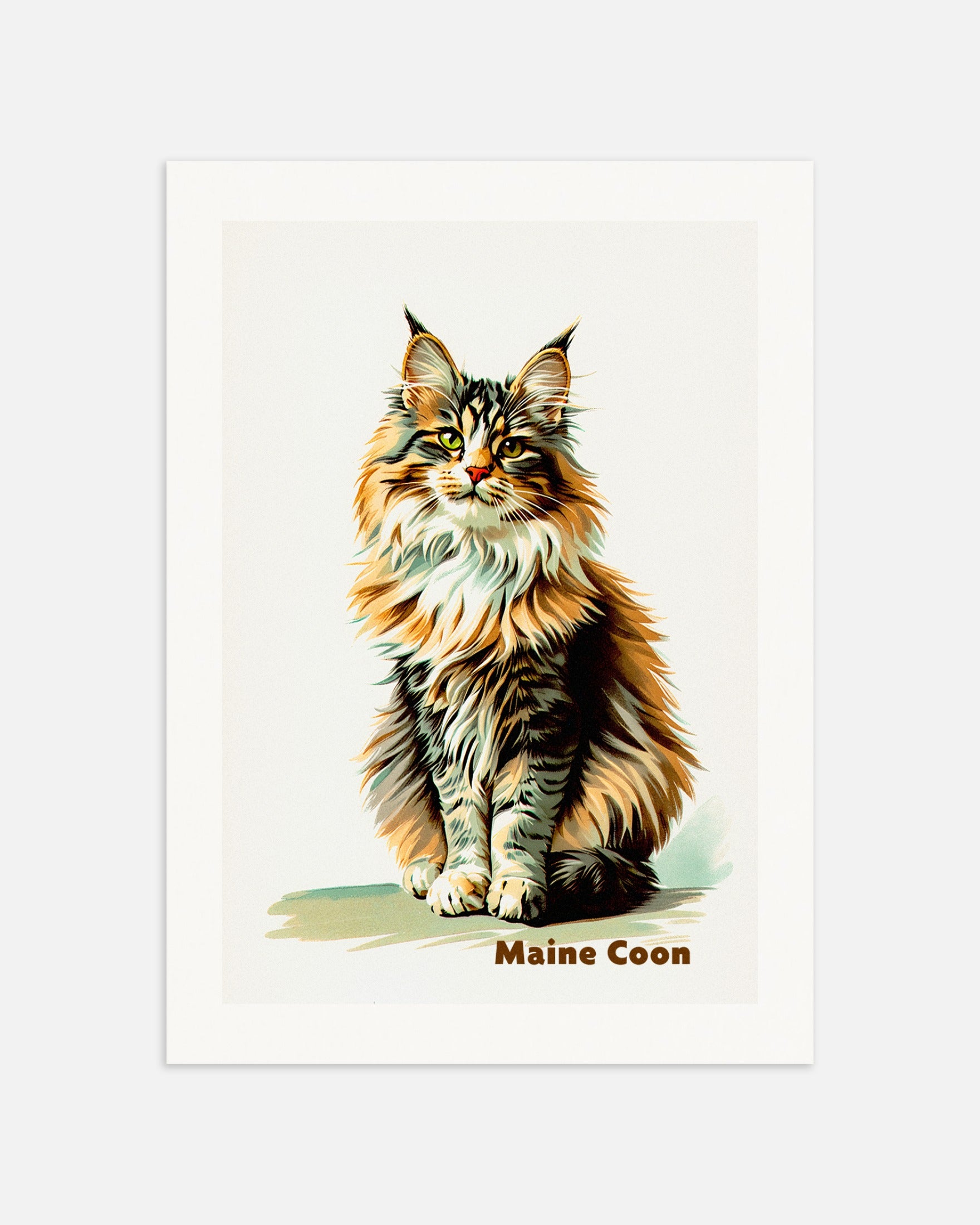 Poster: Maine Coon Cat 02 - vintage art, none