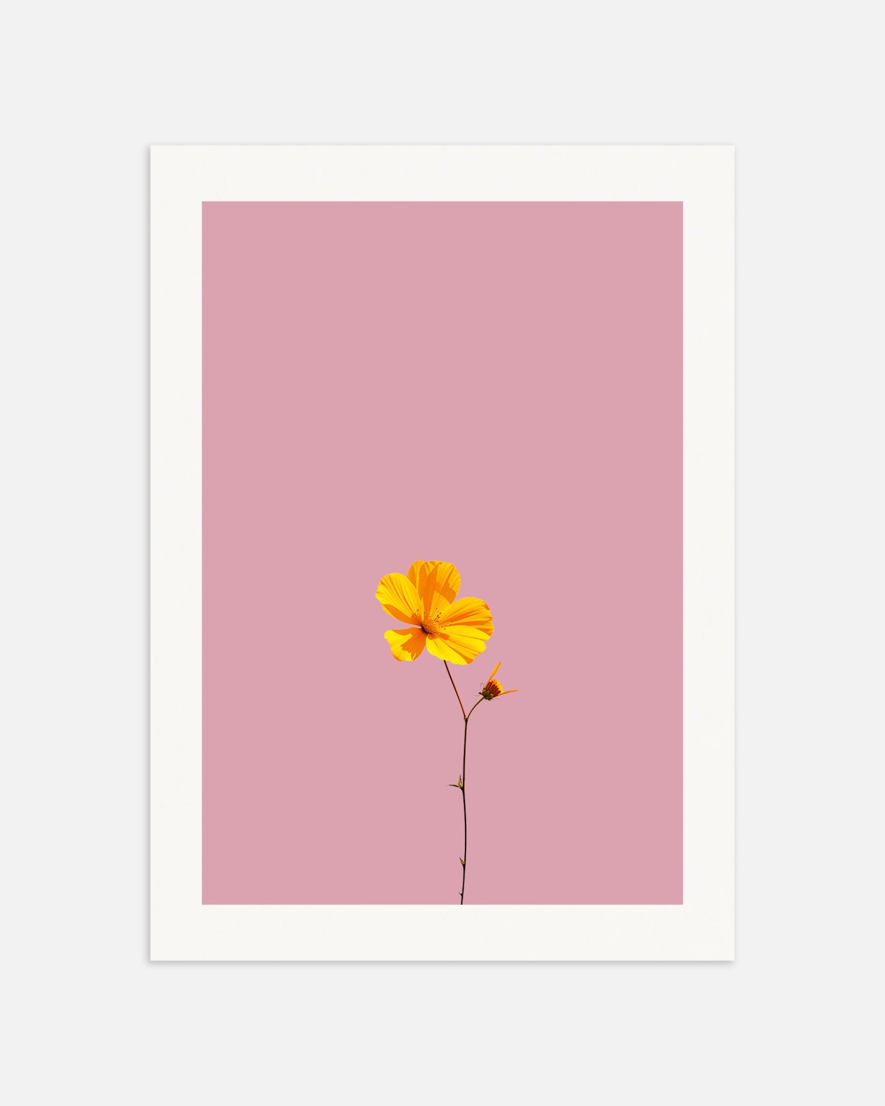 Poster: Yellow flower on Le Corbusier's colors