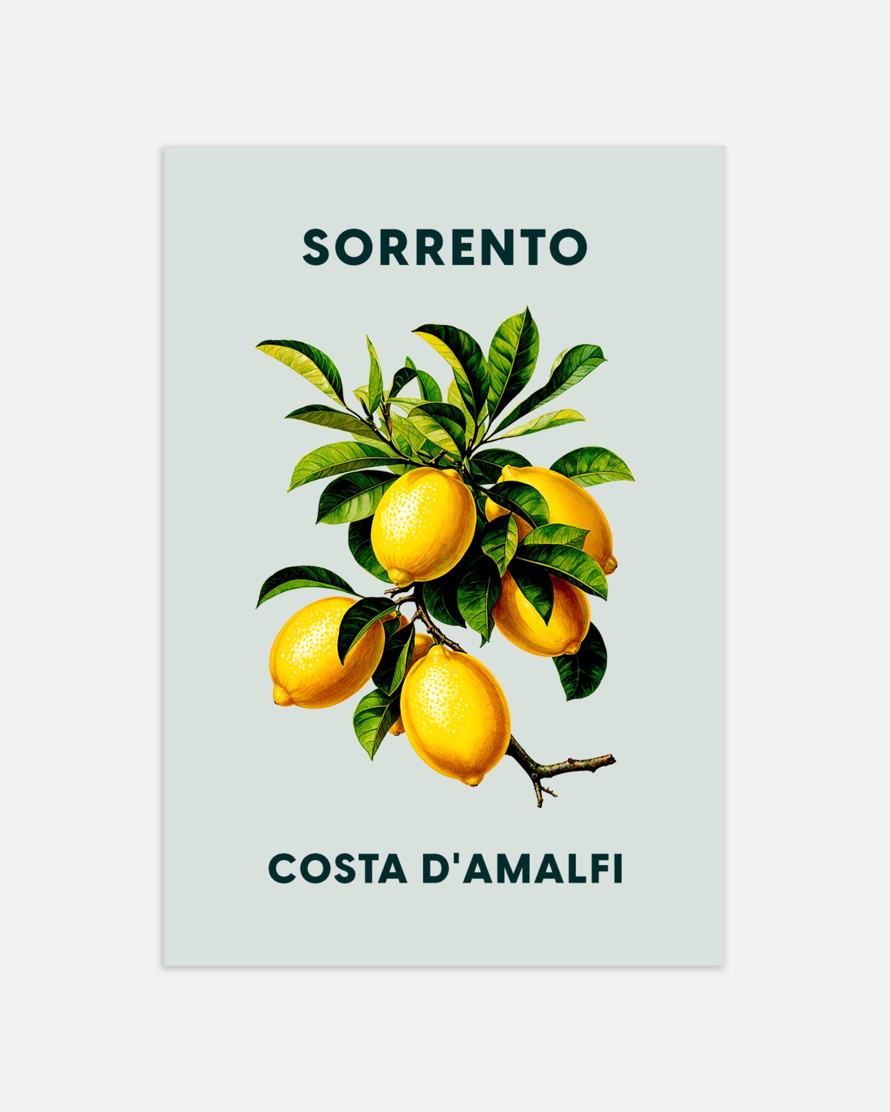 Poster: Lemons of Sorrento - Amalfi Coast 02