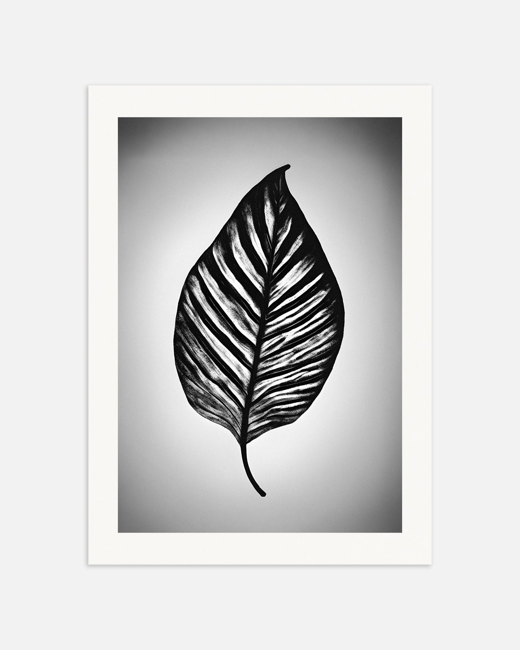 Poster: A leaf, none