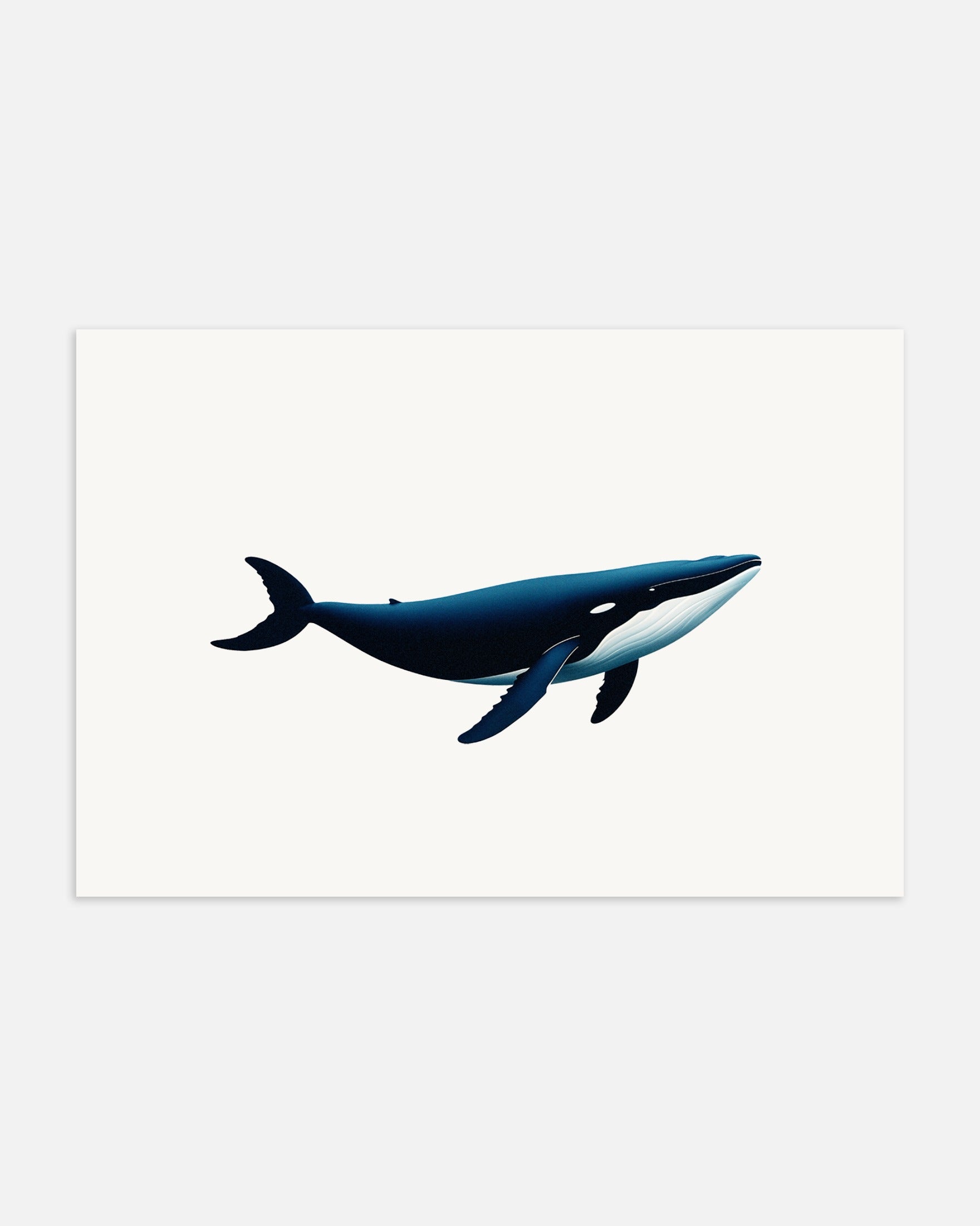 Poster: Whale, none