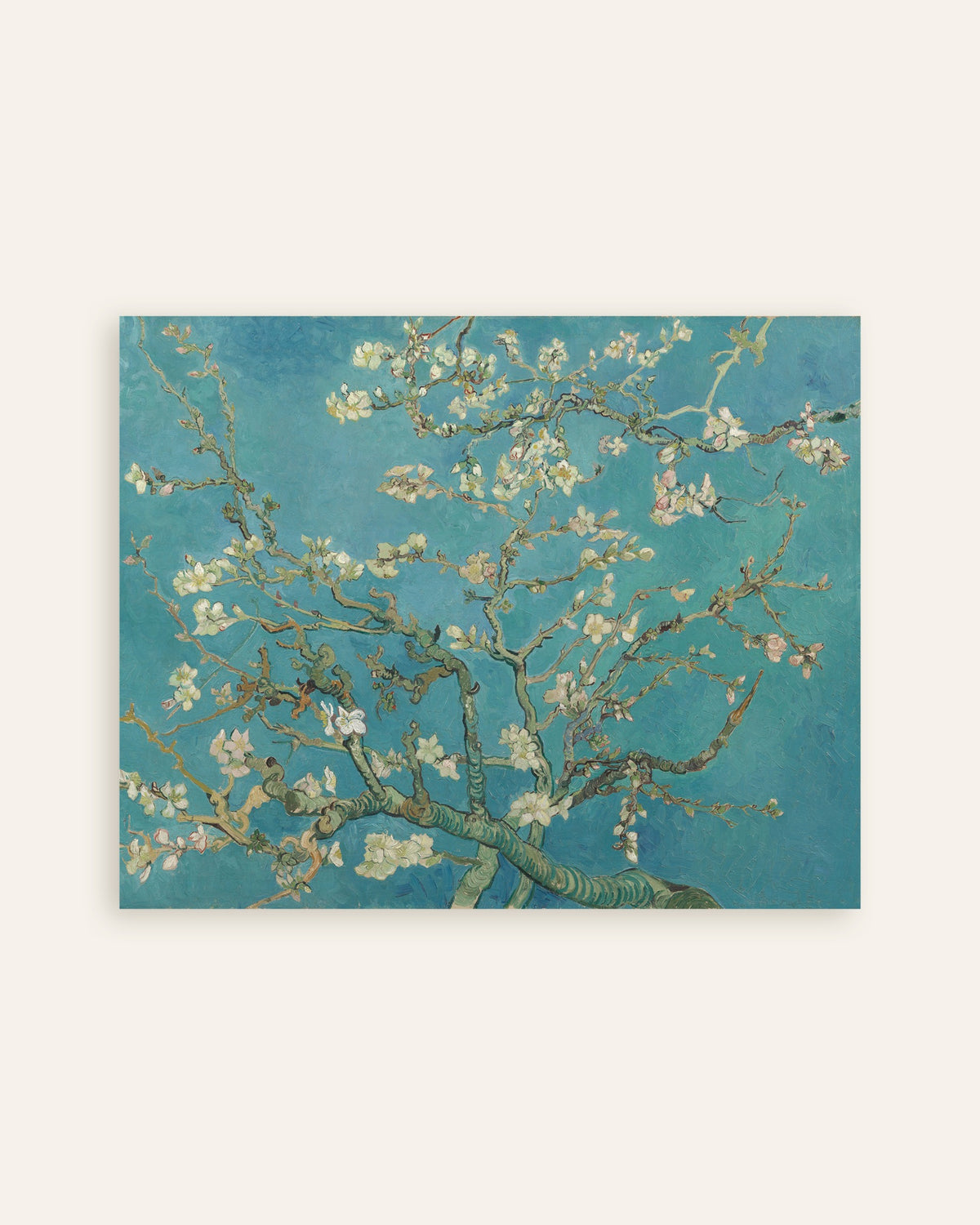 Poster av Mandelblomstring (1890) av Vincent van Gogh, miniatyr