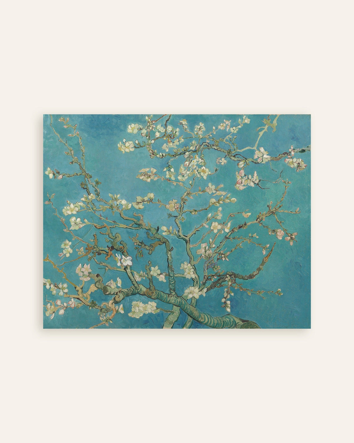 Poster av Mandelblomstring (1890) av Vincent van Gogh, miniatyr
