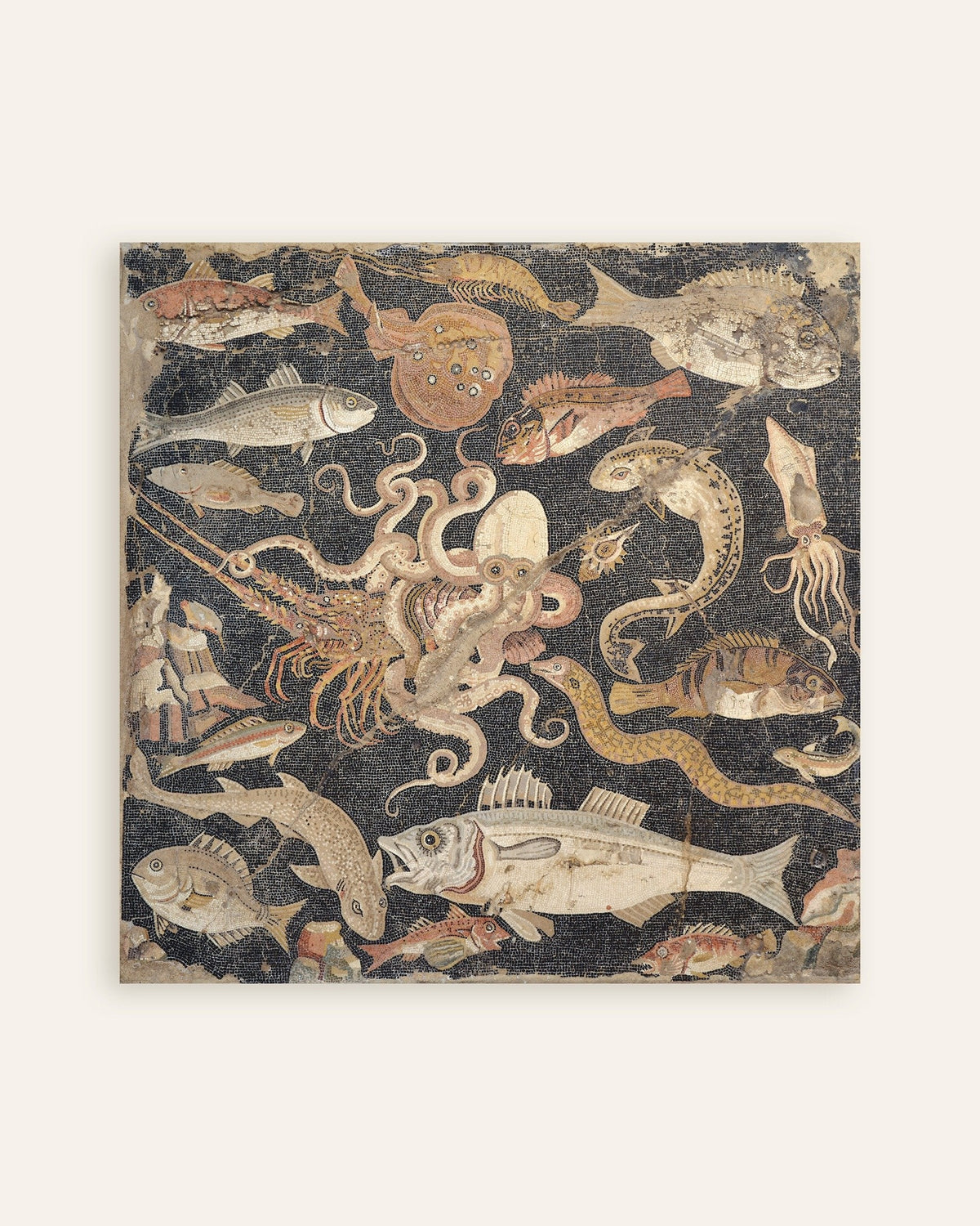 Pompeii fish mosaic poster with Roman marine life
