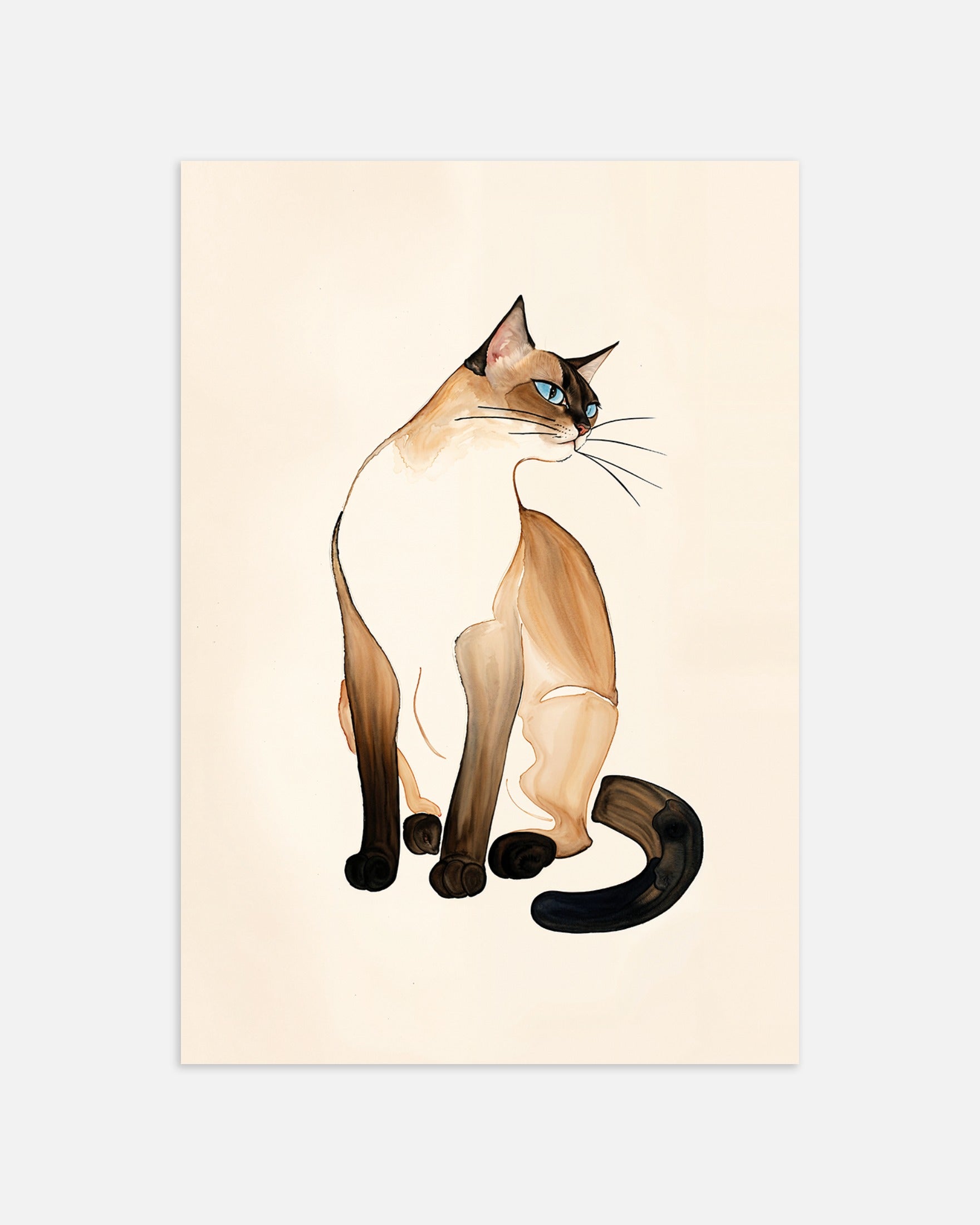 Poster: Siamese cat, none