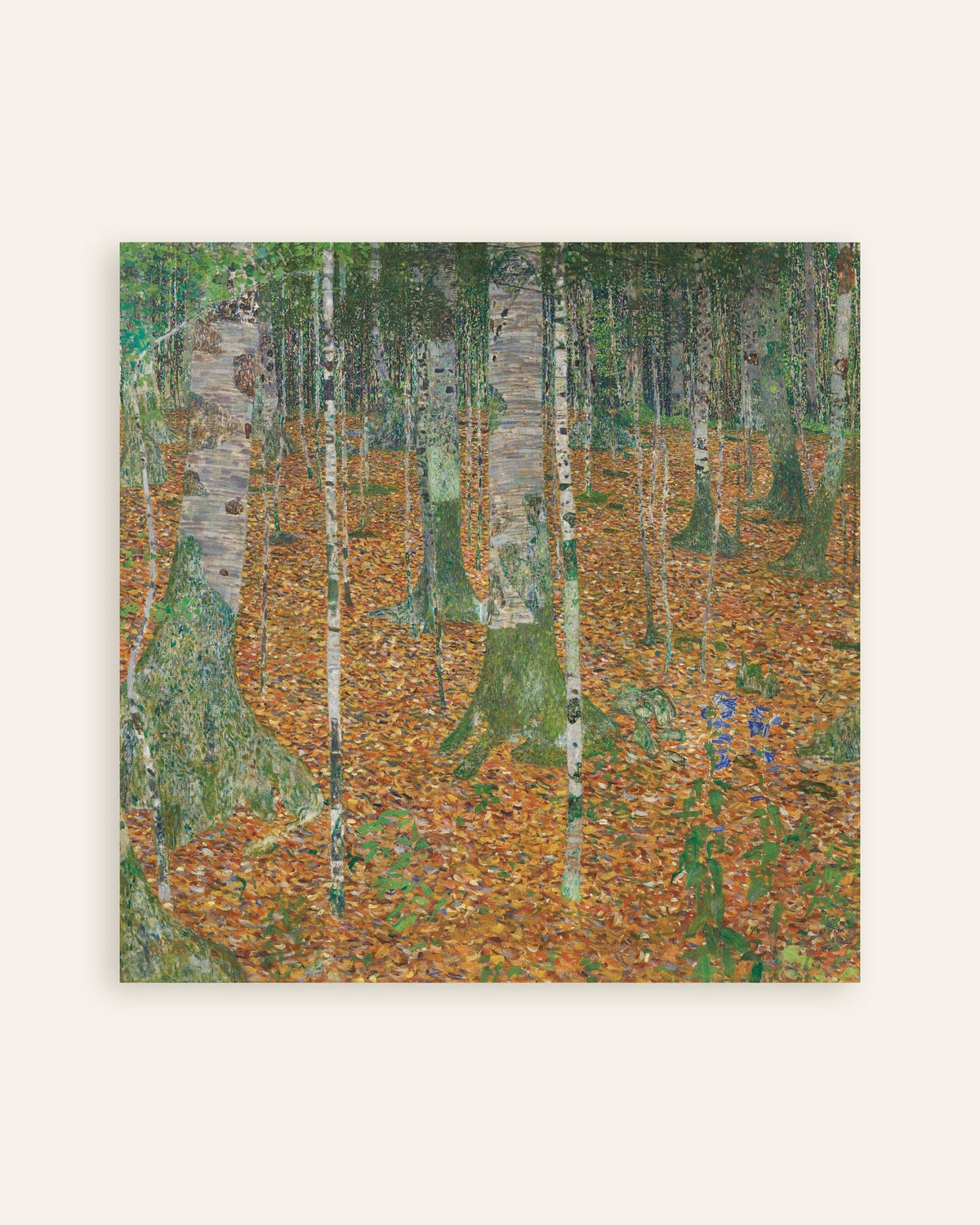 Plakat Bjørkeskog (1903) av Gustav Klimt, miniatyr