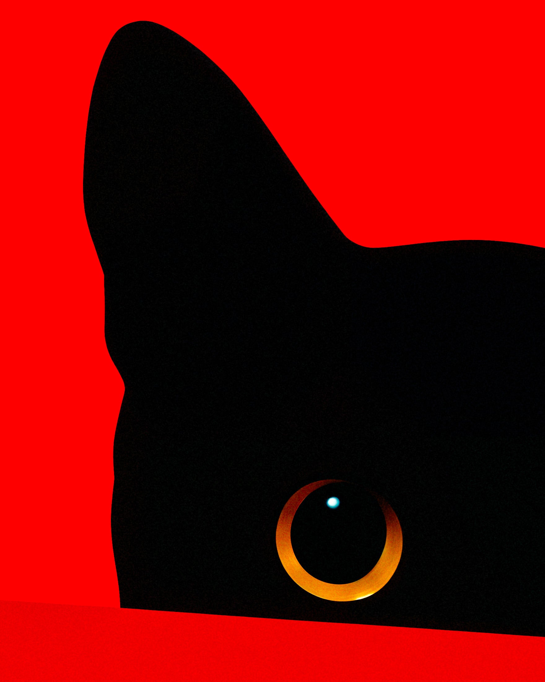 Gato detrás de una pared roja - Póster