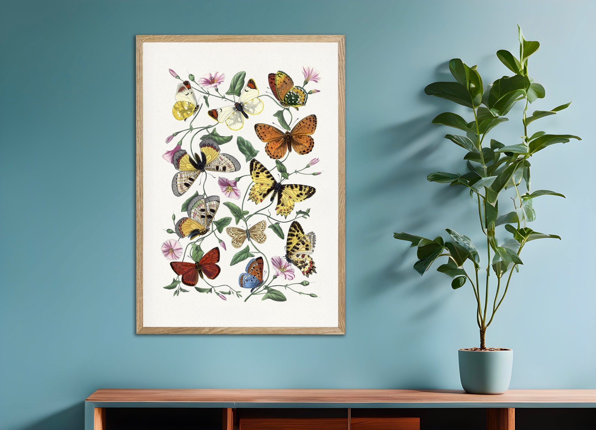 Poster of Butterflies poster, Vintage Art, with natural wooden frame