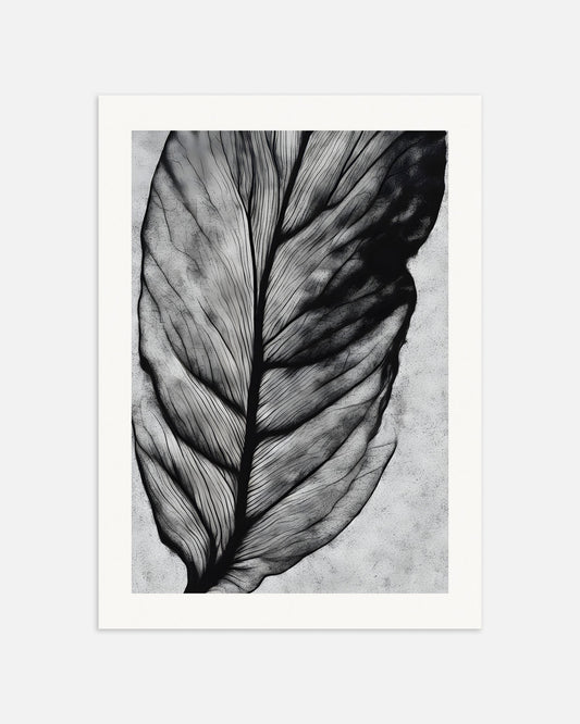 Poster: A leaf in black and white, none