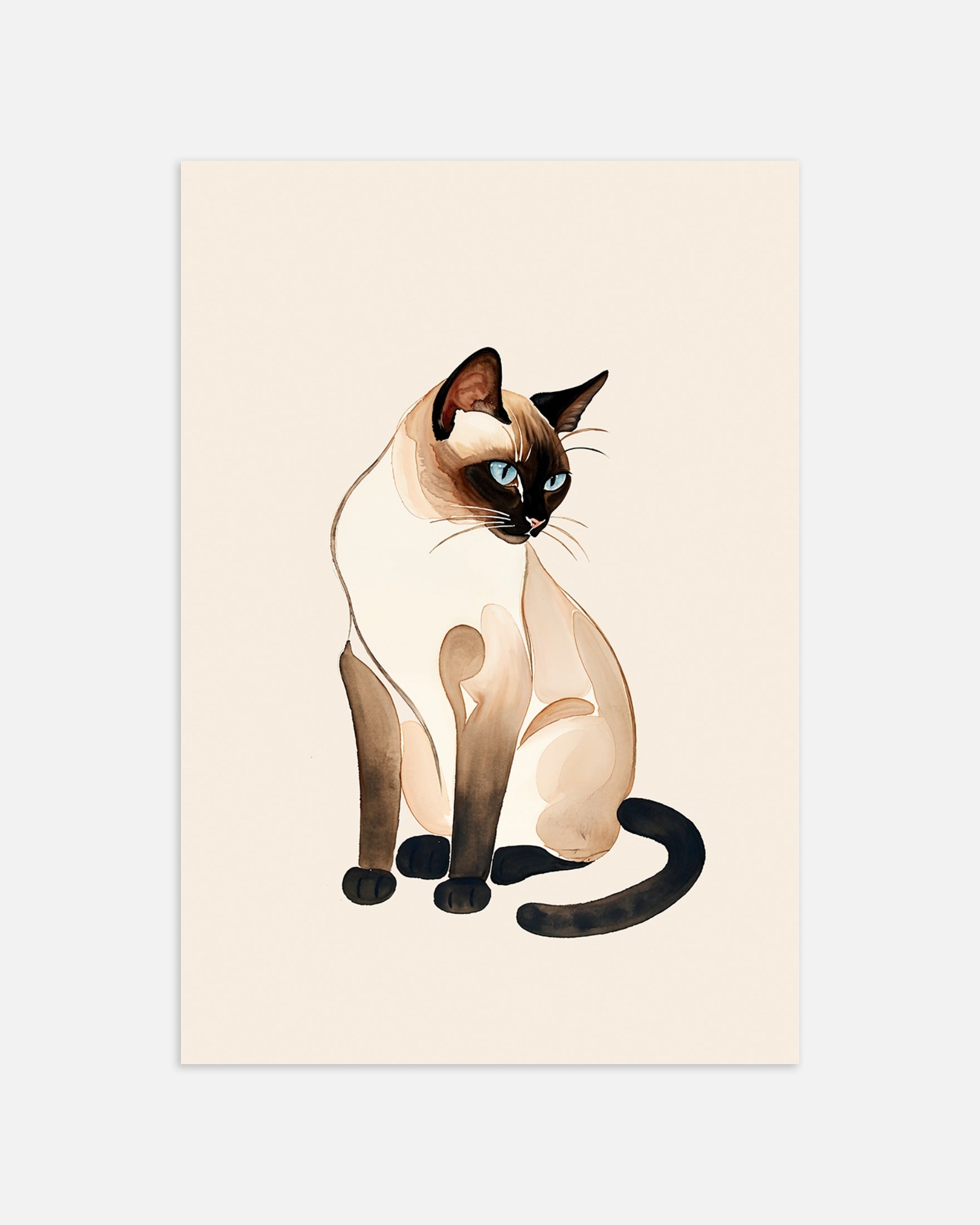 Poster: Siamese cat 02, none