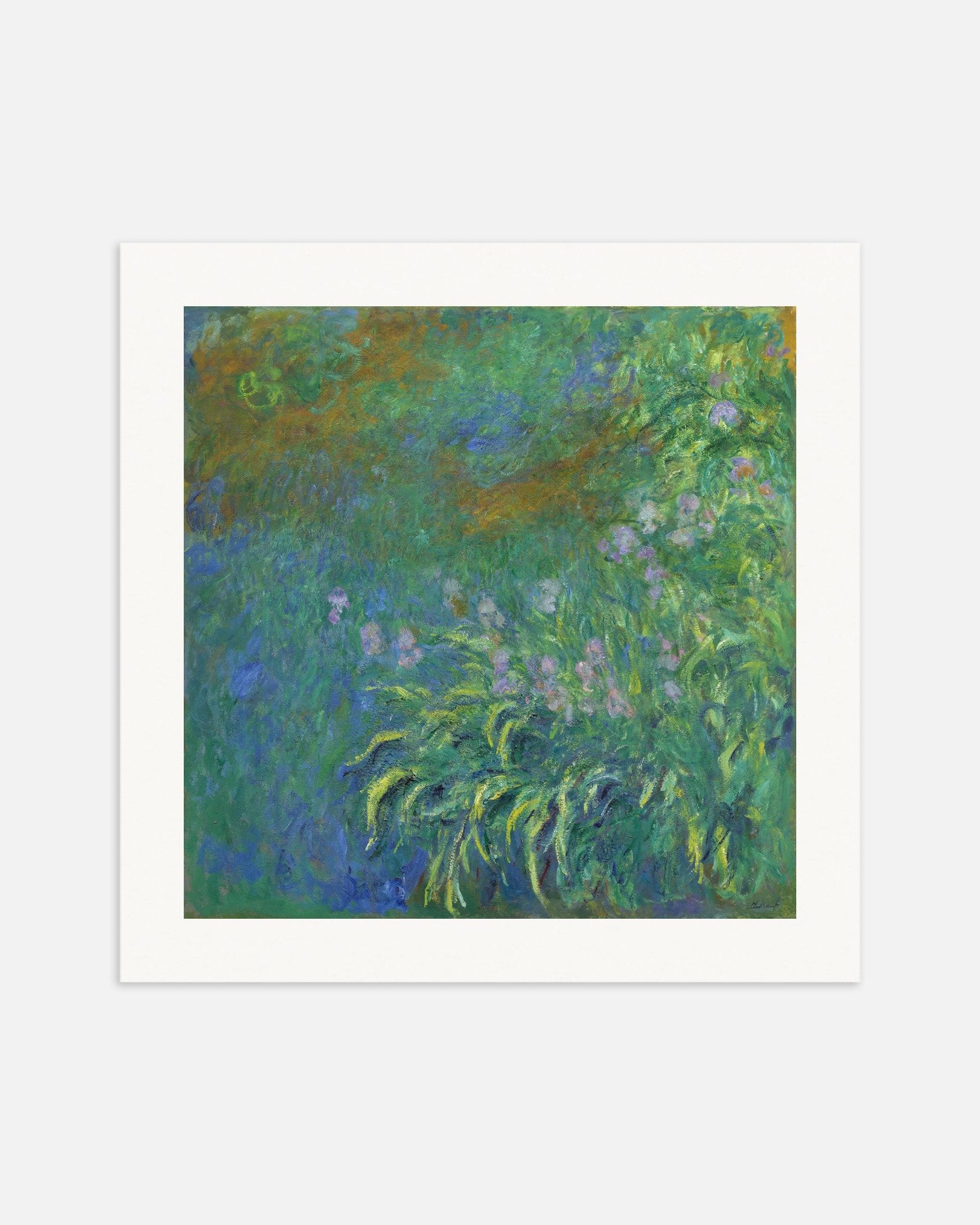 Poster of Claude Monet Iris, thumbnail