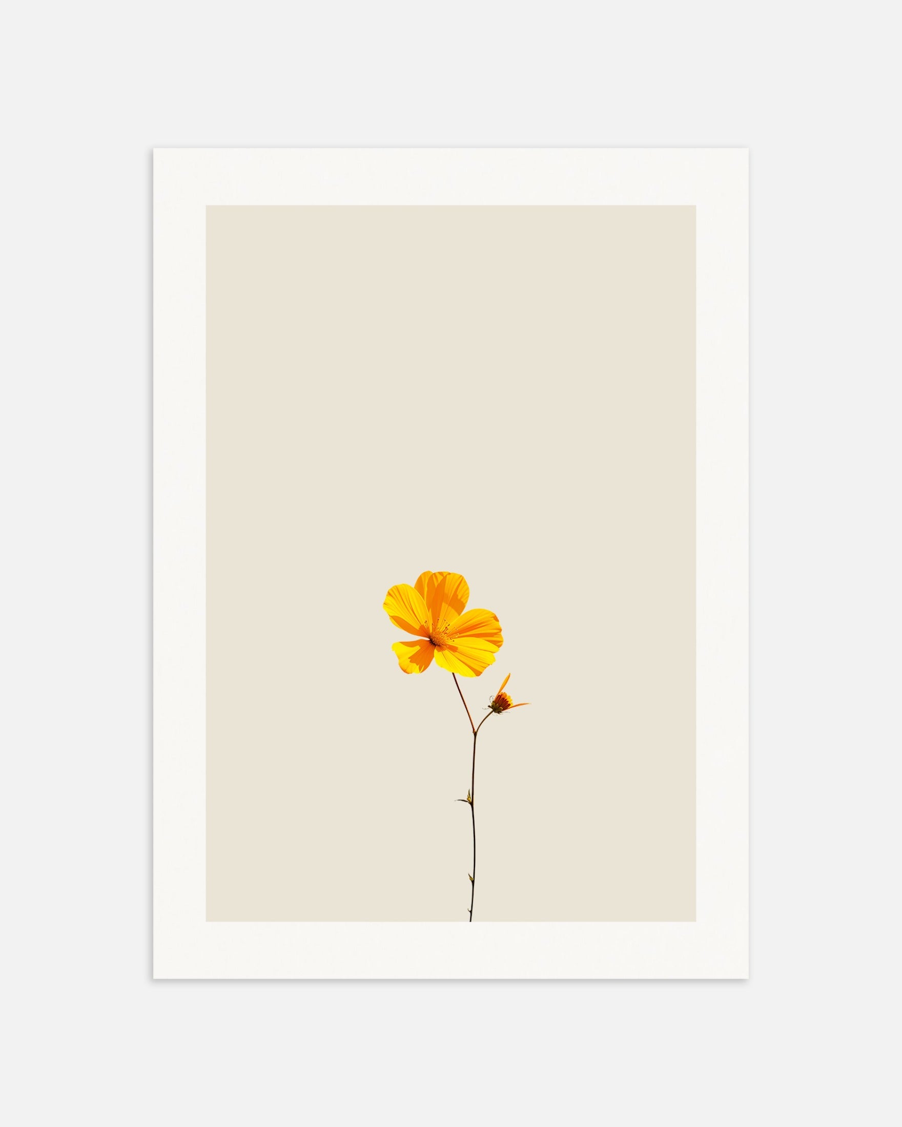 Poster: Yellow flower on Le Corbusier's colors