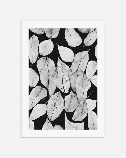 Poster: Dead leaves, black and white, none