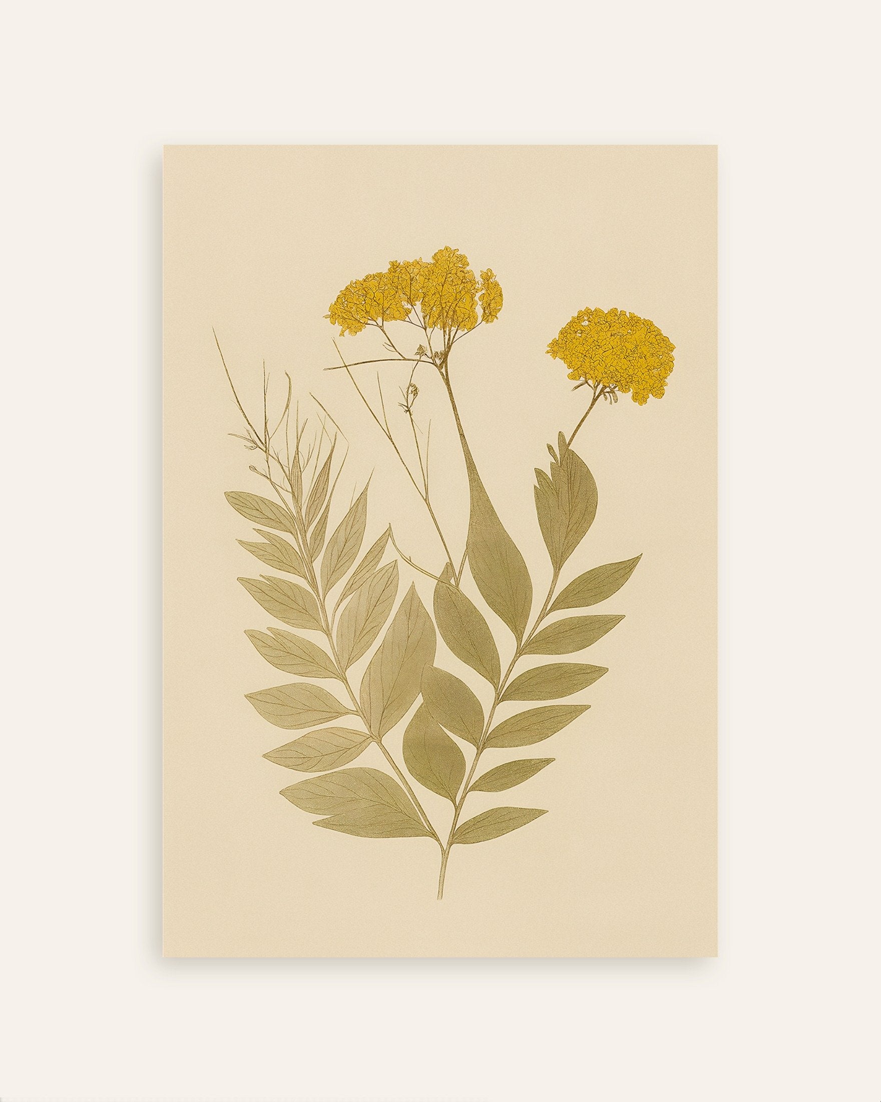 Poster of Dried Everlasting Flowers Poster – Autumn Botanical Art, thumbnail