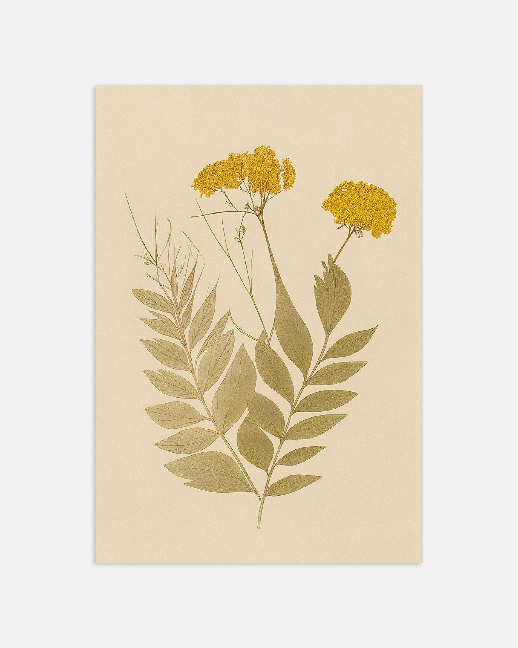 Poster of Dried Everlasting Flowers Poster – Autumn Botanical Art, thumbnail