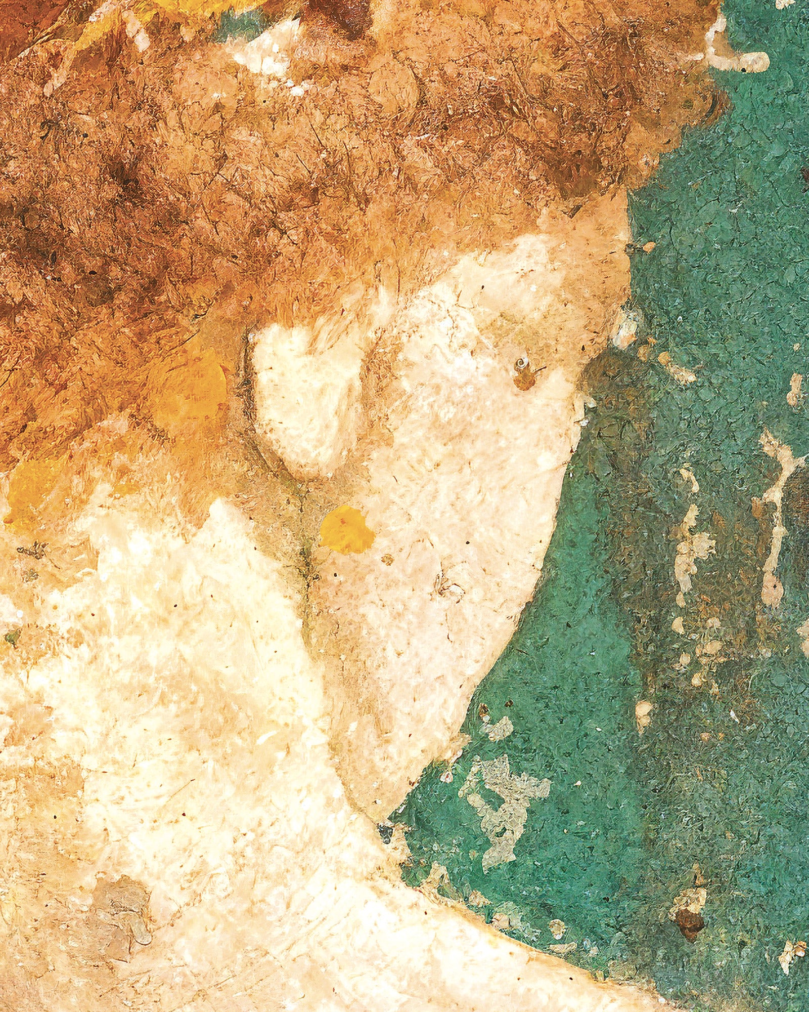 Flora of Stabiae Detail Poster | Roman Fresco Art | Posterscape