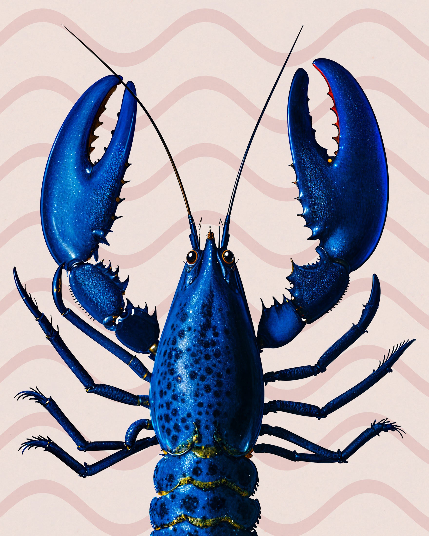 Blue Lobster Poster