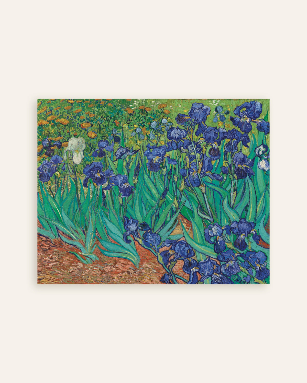 Poster av Iris (1889) av Vincent van Gogh, miniatyrbilde