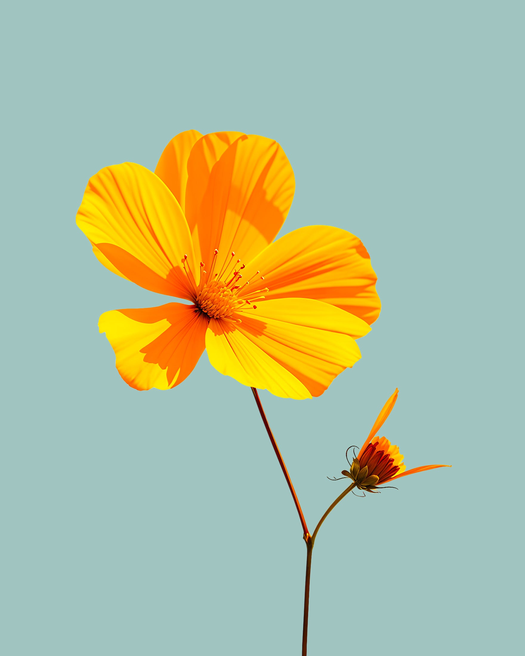 Yellow flower on Le Corbusier's colors - Choose the background color! - Poster