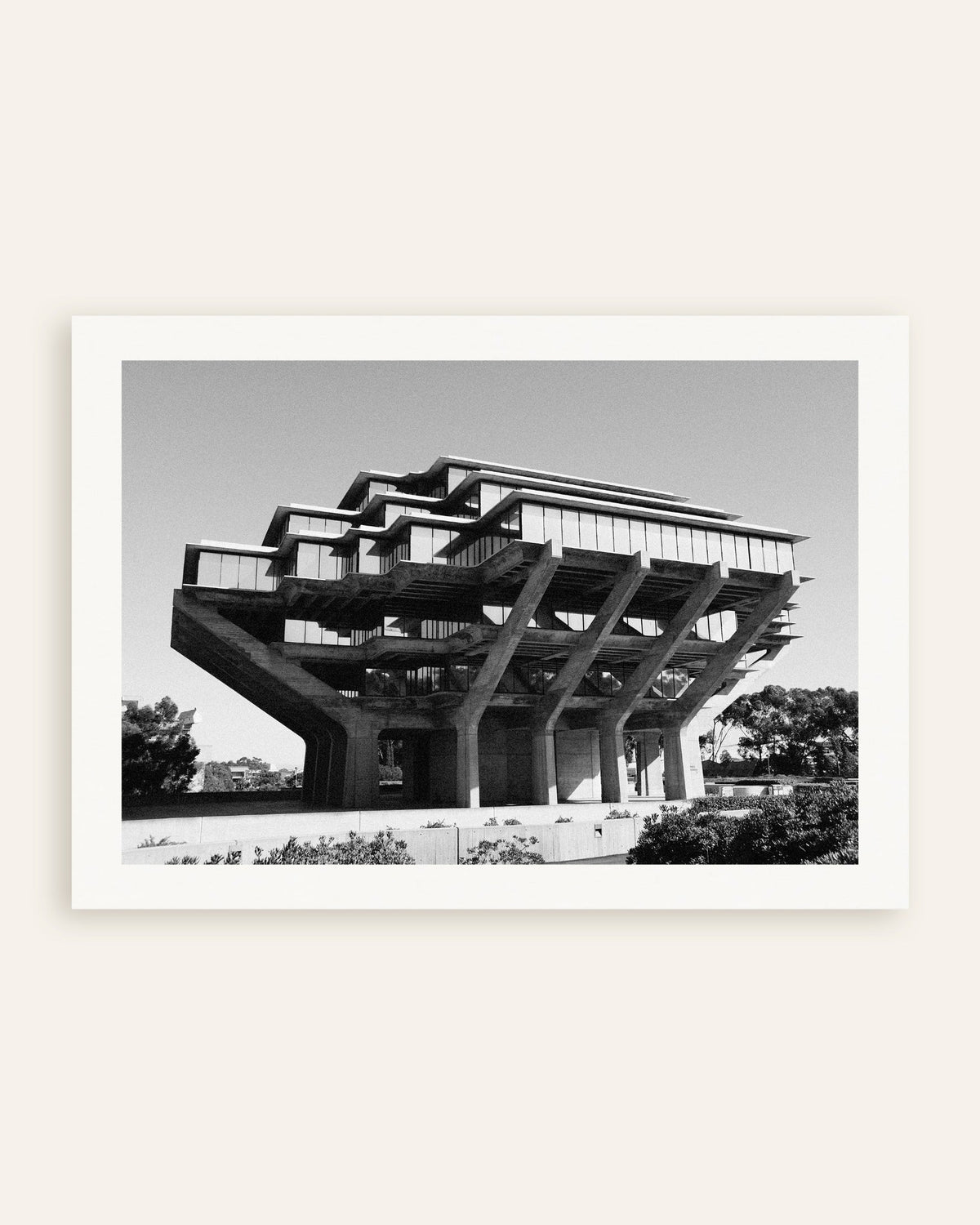 Poster of Library on Concrete Stilts, thumbnail