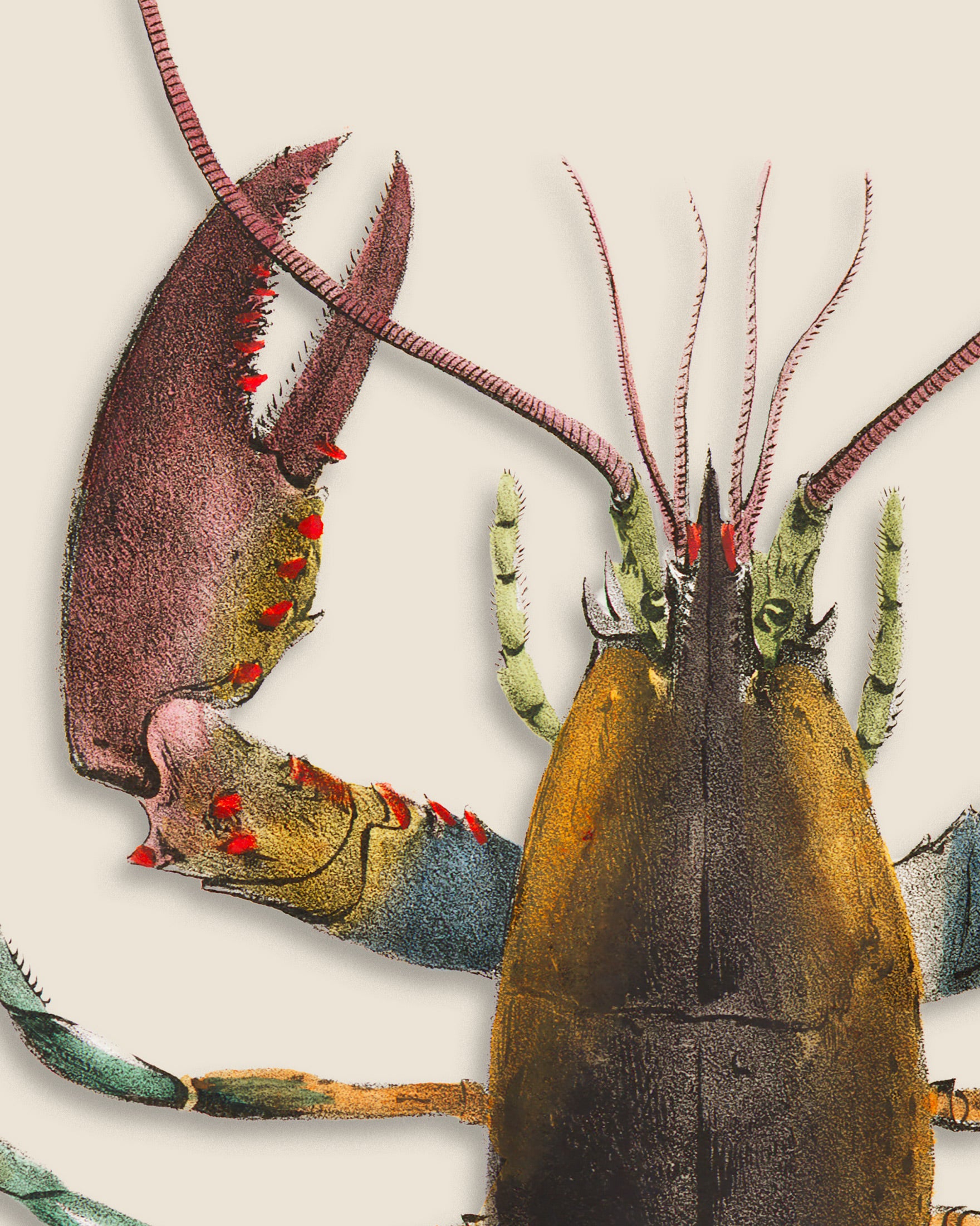 "Le Homard" Plakat