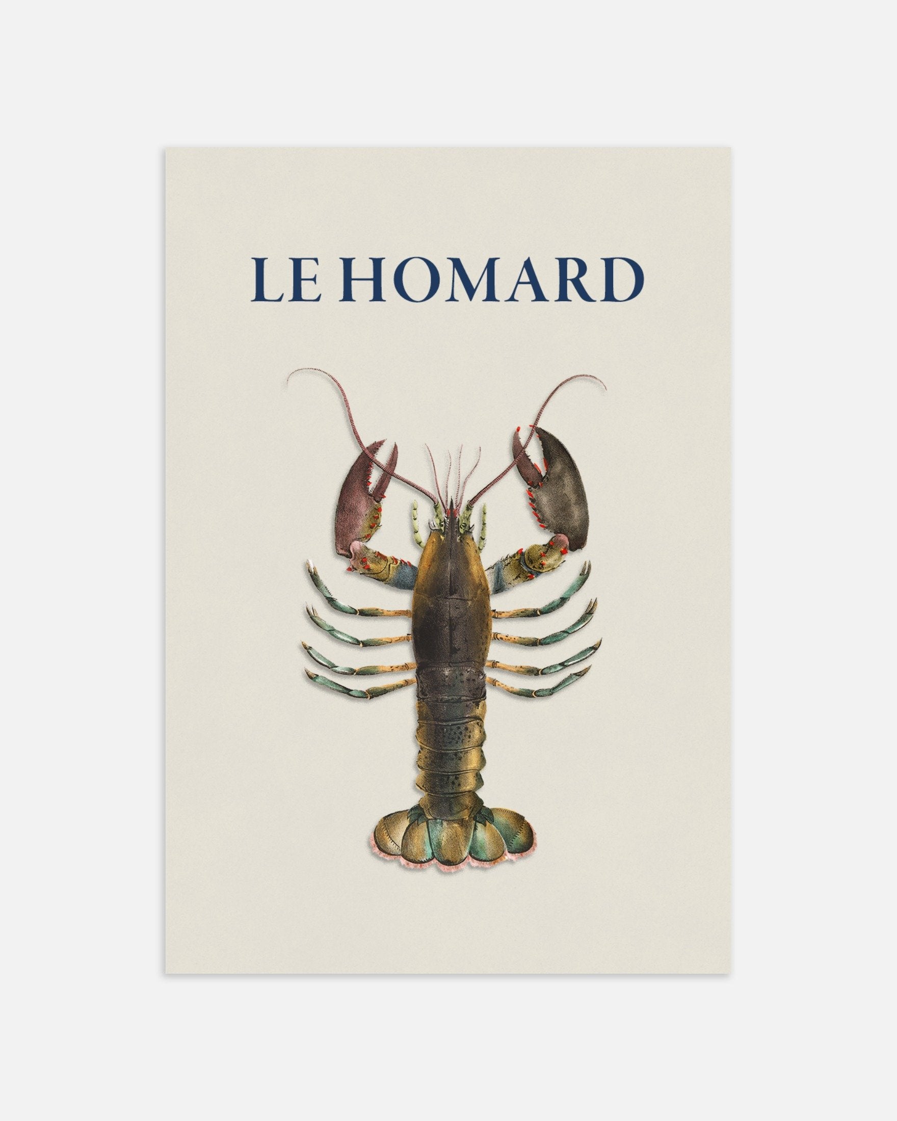 Poster of Lobster Poster, thumbnail