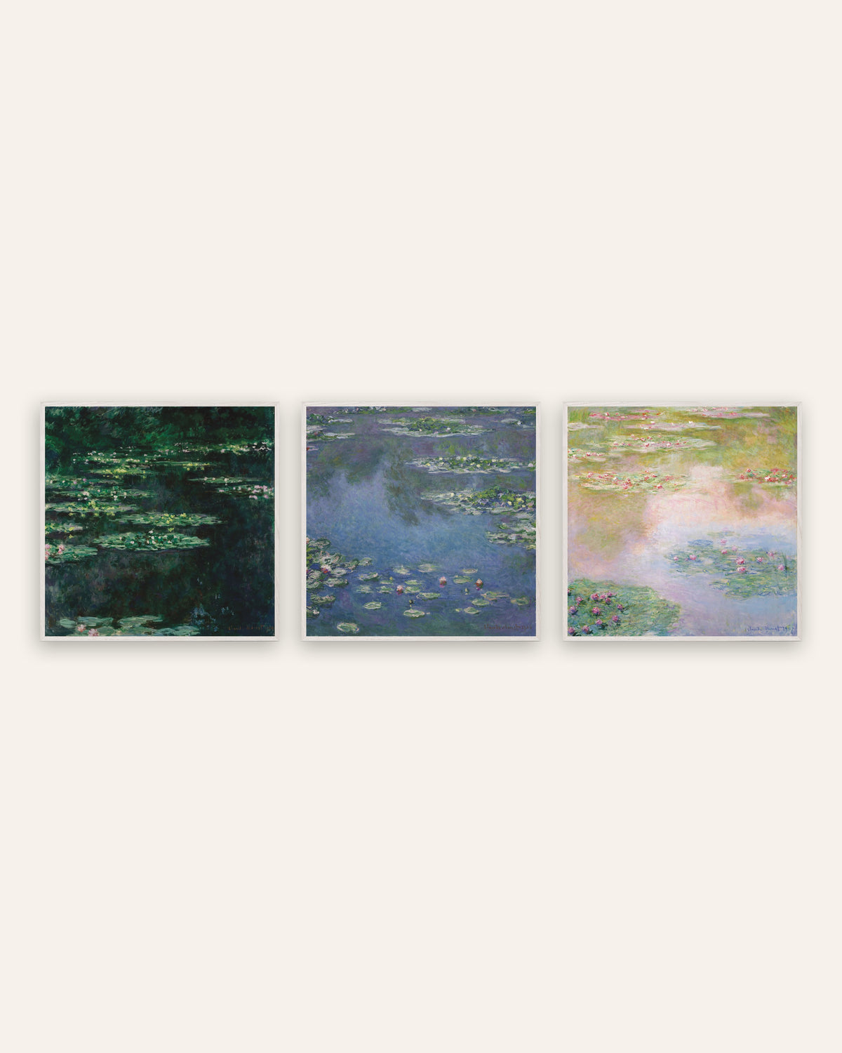 Monet Vannliljer postere, sett med 3: kvadratiske motiver fra dammen, i hvite eikerammer