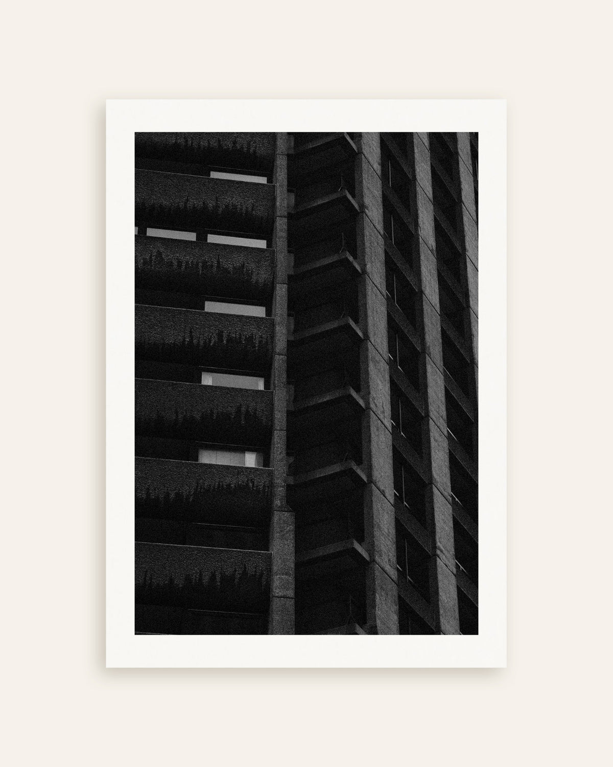 Poster of Night Facade With Hanging Plants, thumbnail