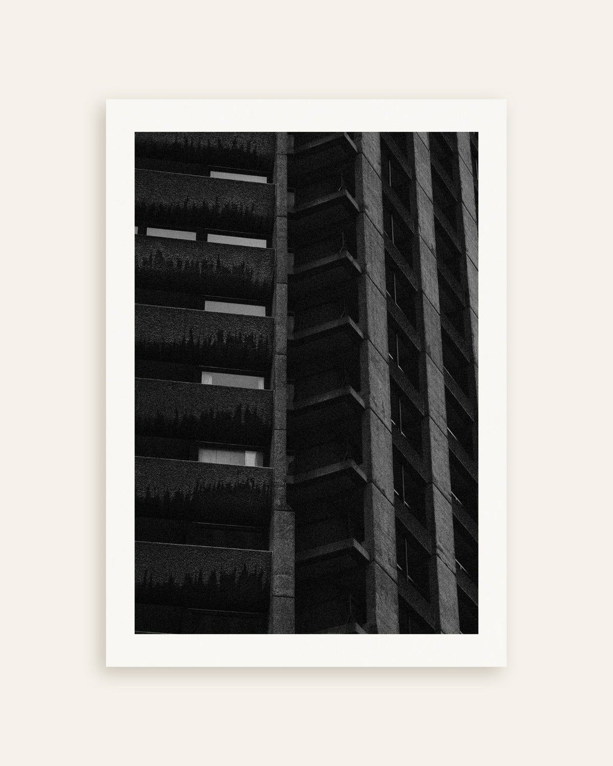 Poster of Night Facade With Hanging Plants, thumbnail