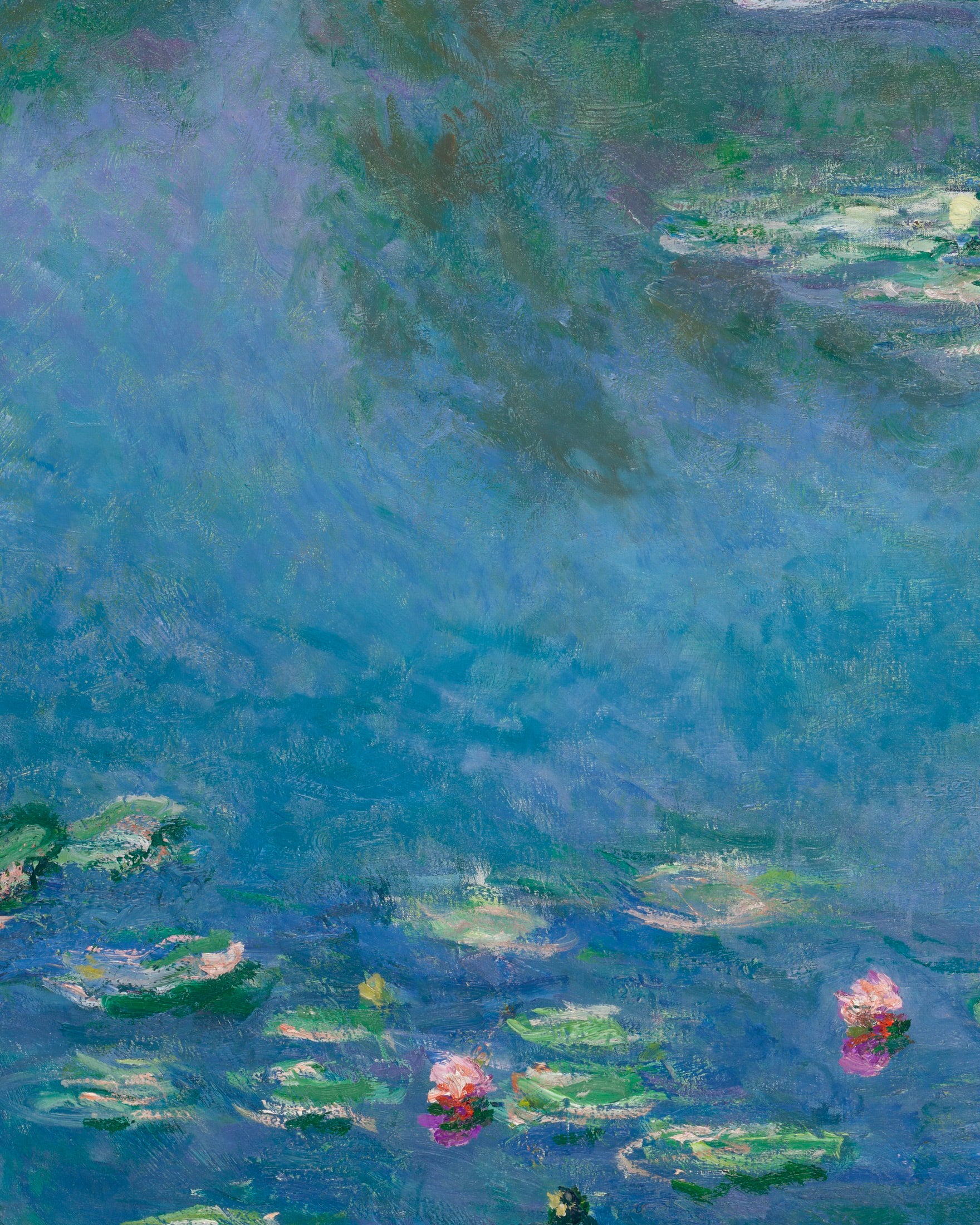 Claude Monet Vannliljer - Kunsttrykk