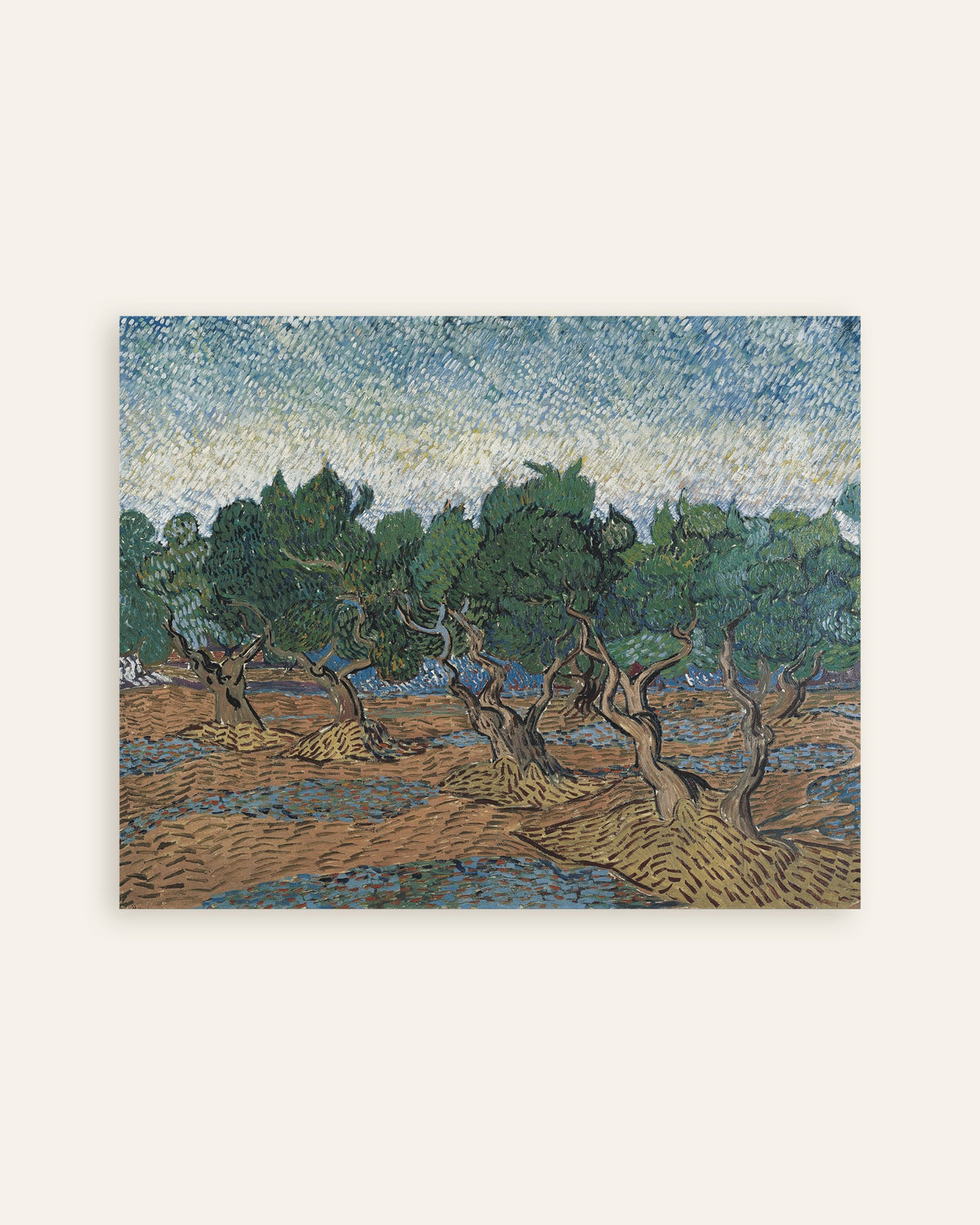Poster av Olivengård (1889) av Vincent van Gogh, miniatyr
