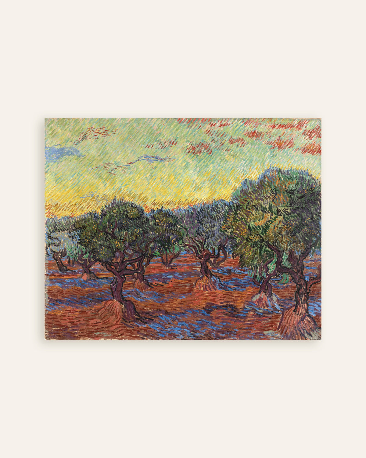 Poster med Oliventrær med oransje himmel (1889) av Vincent van Gogh, miniatyr