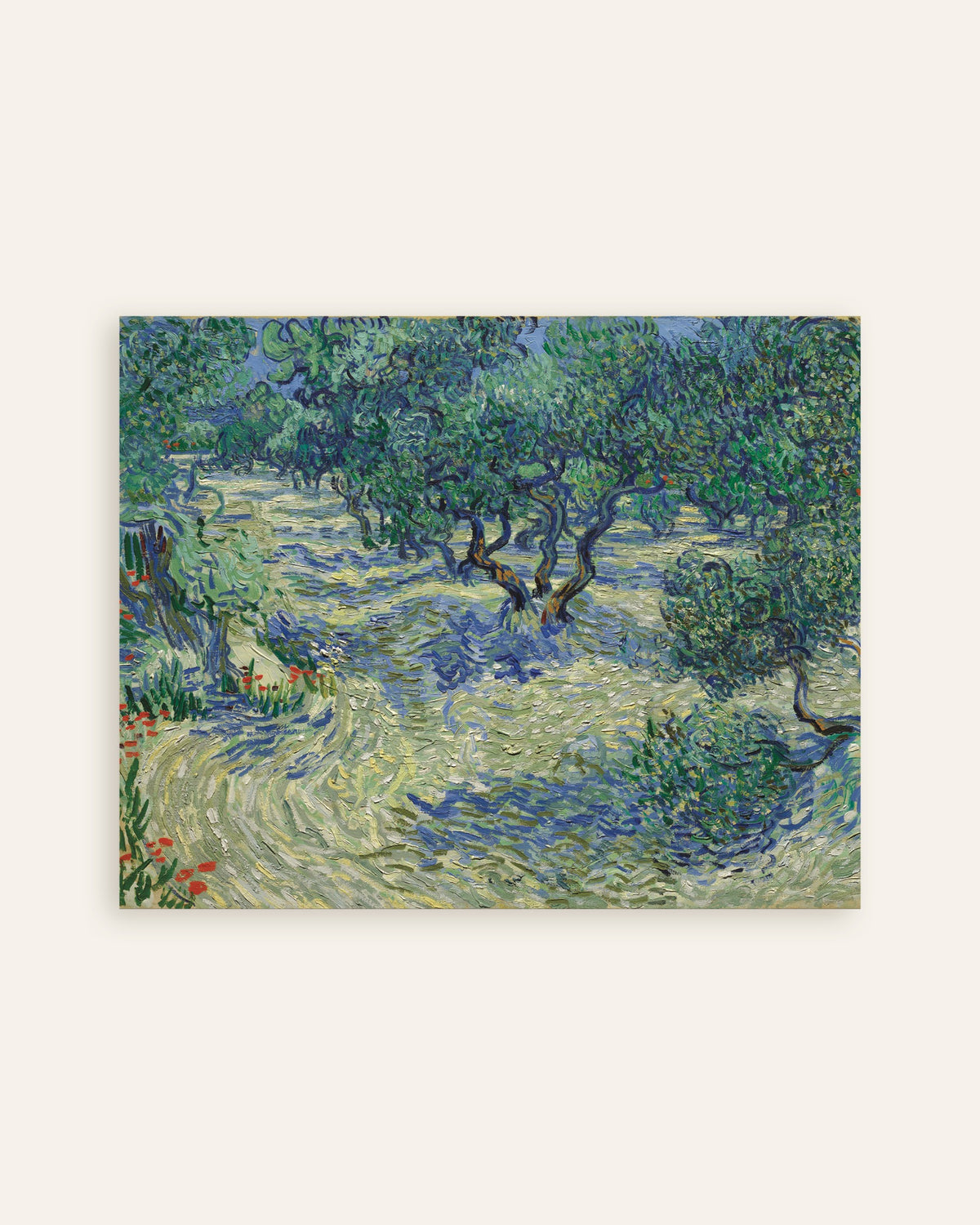 Poster av Olivengård (1889) av Vincent van Gogh, miniatyr