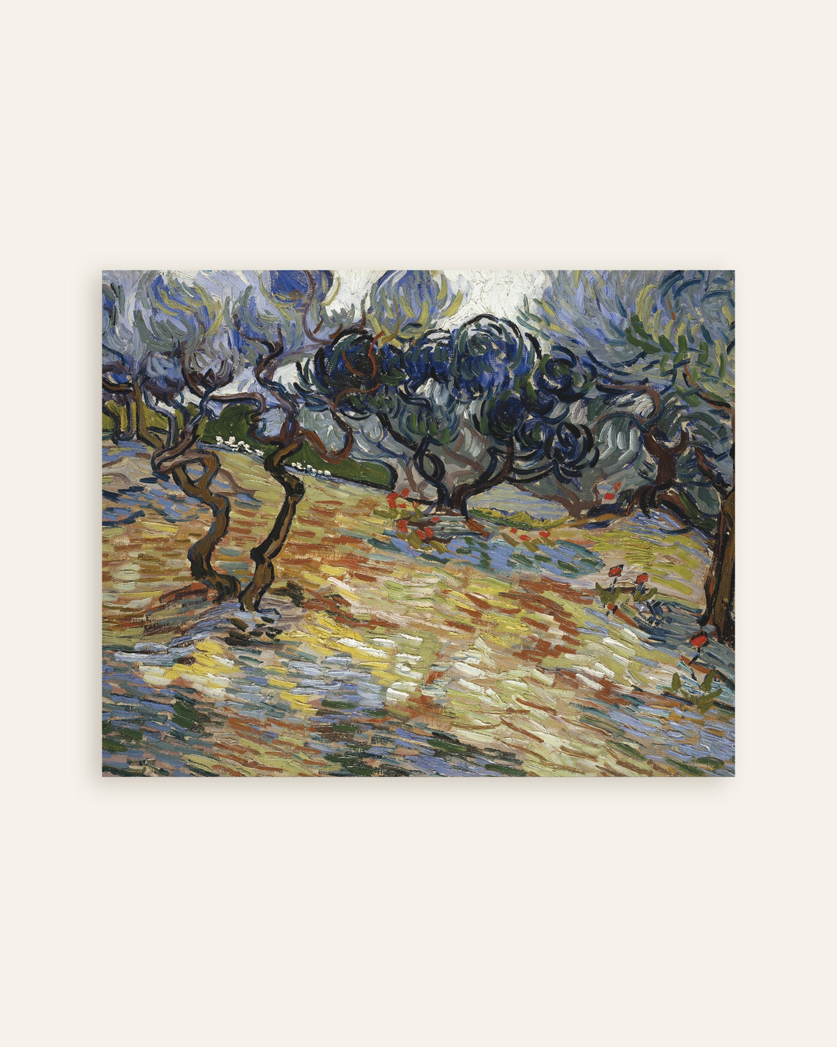 Poster of Olive Trees (1889) by Vincent van Gogh, thumbnail