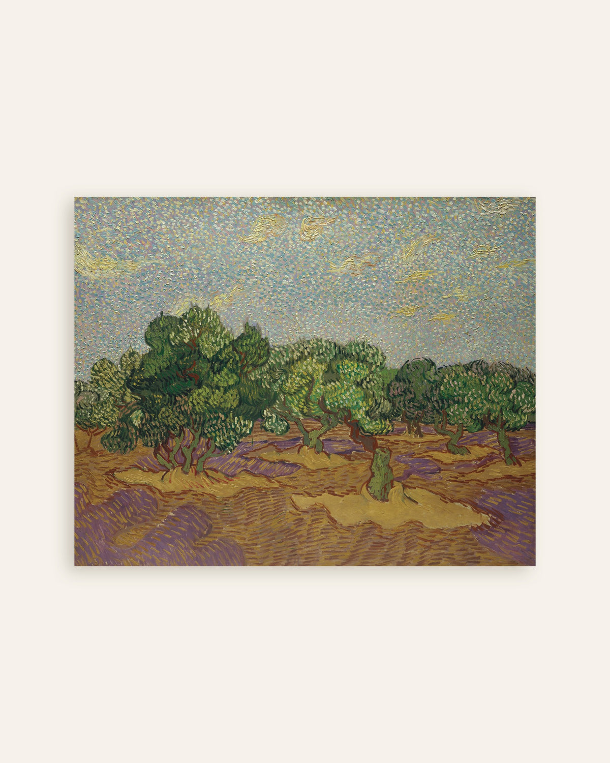 Poster av Oliventrær under en blek himmel (1889) av Vincent van Gogh, miniatyr