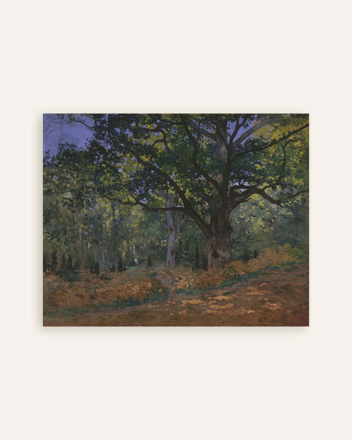 Plakat Bodmer-eiken, Fontainebleau-skogen (1865) av Claude Monet, miniatyr