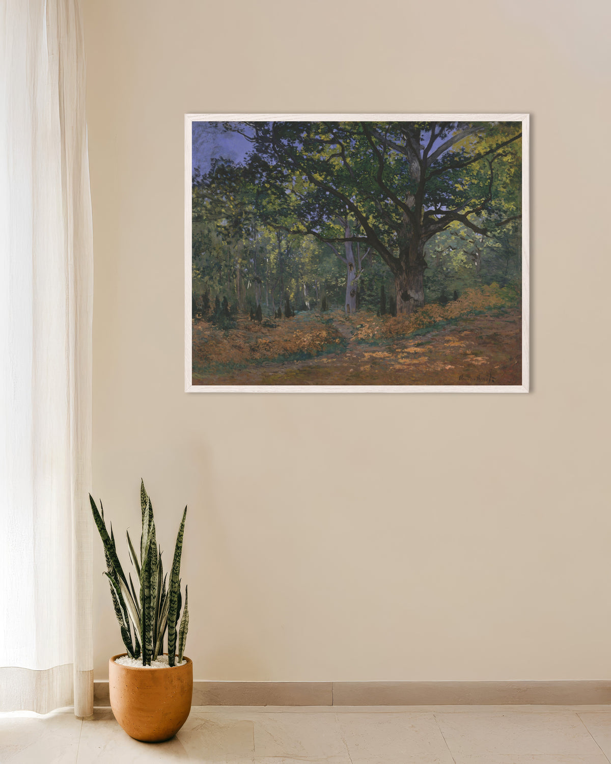 Plakat Bodmer-eiken, Fontainebleau-skogen (1865) av Claude Monet med hvit treramme