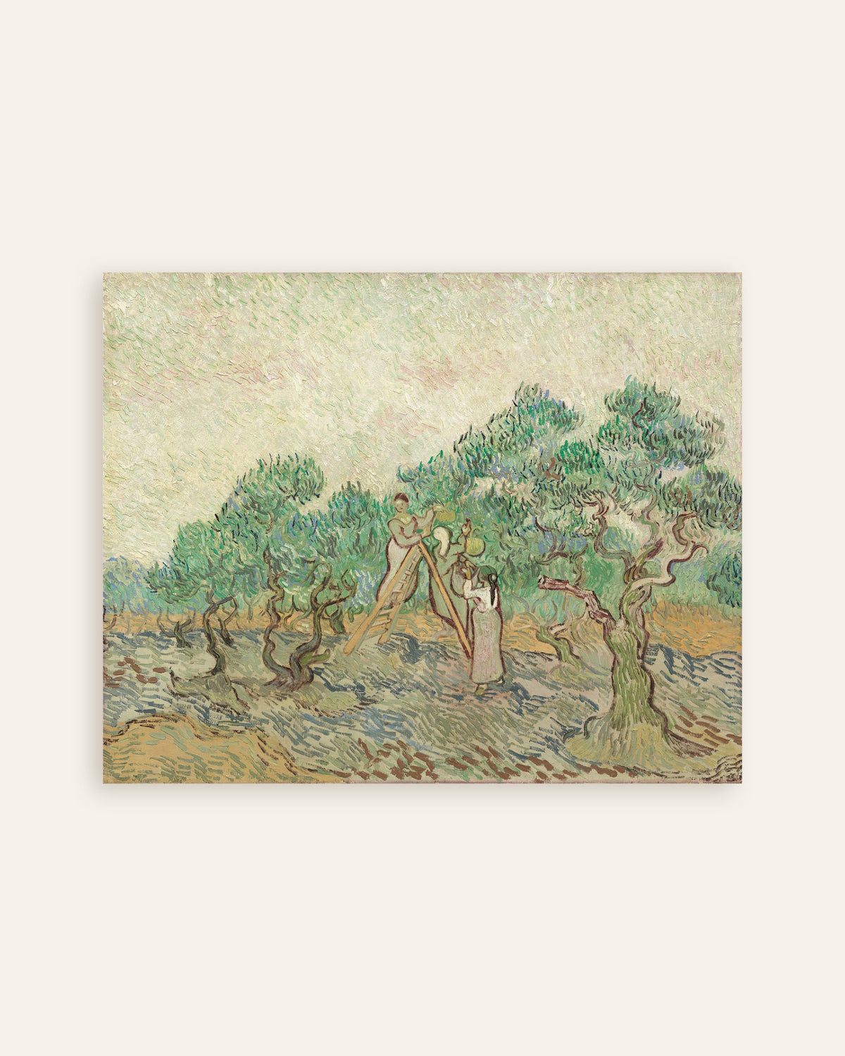 Poster of The Olive Orchard (1889) by Vincent van Gogh, thumbnail
