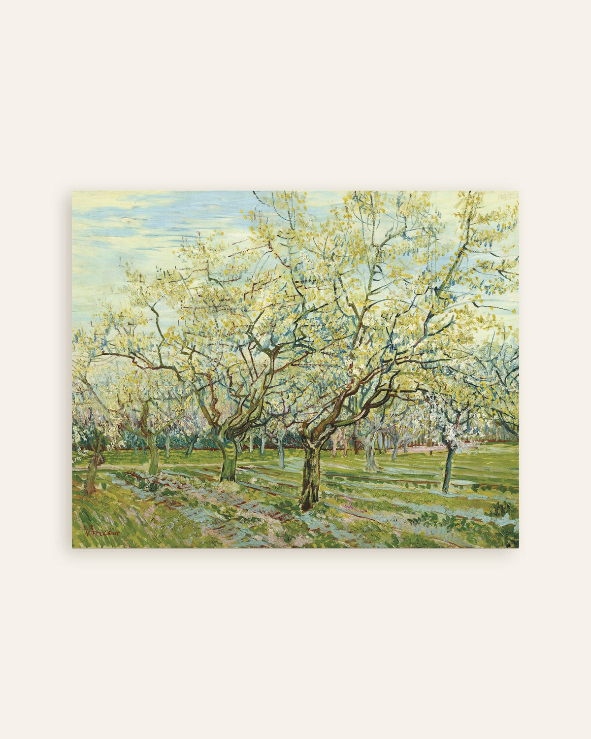 Poster of The White Orchard (1888) by Vincent van Gogh, thumbnail