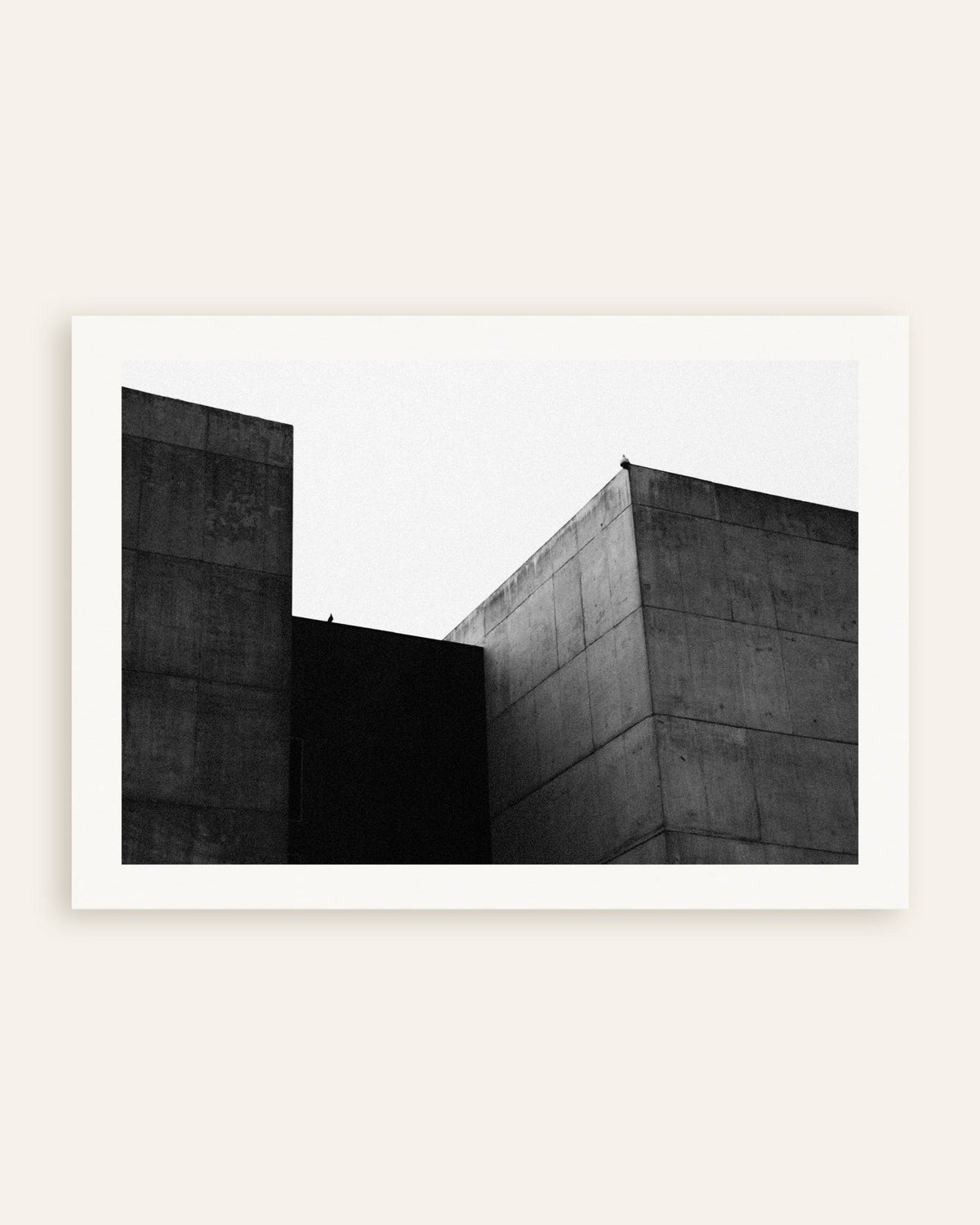 Poster of Two Concrete Blocks and a Bird, thumbnail