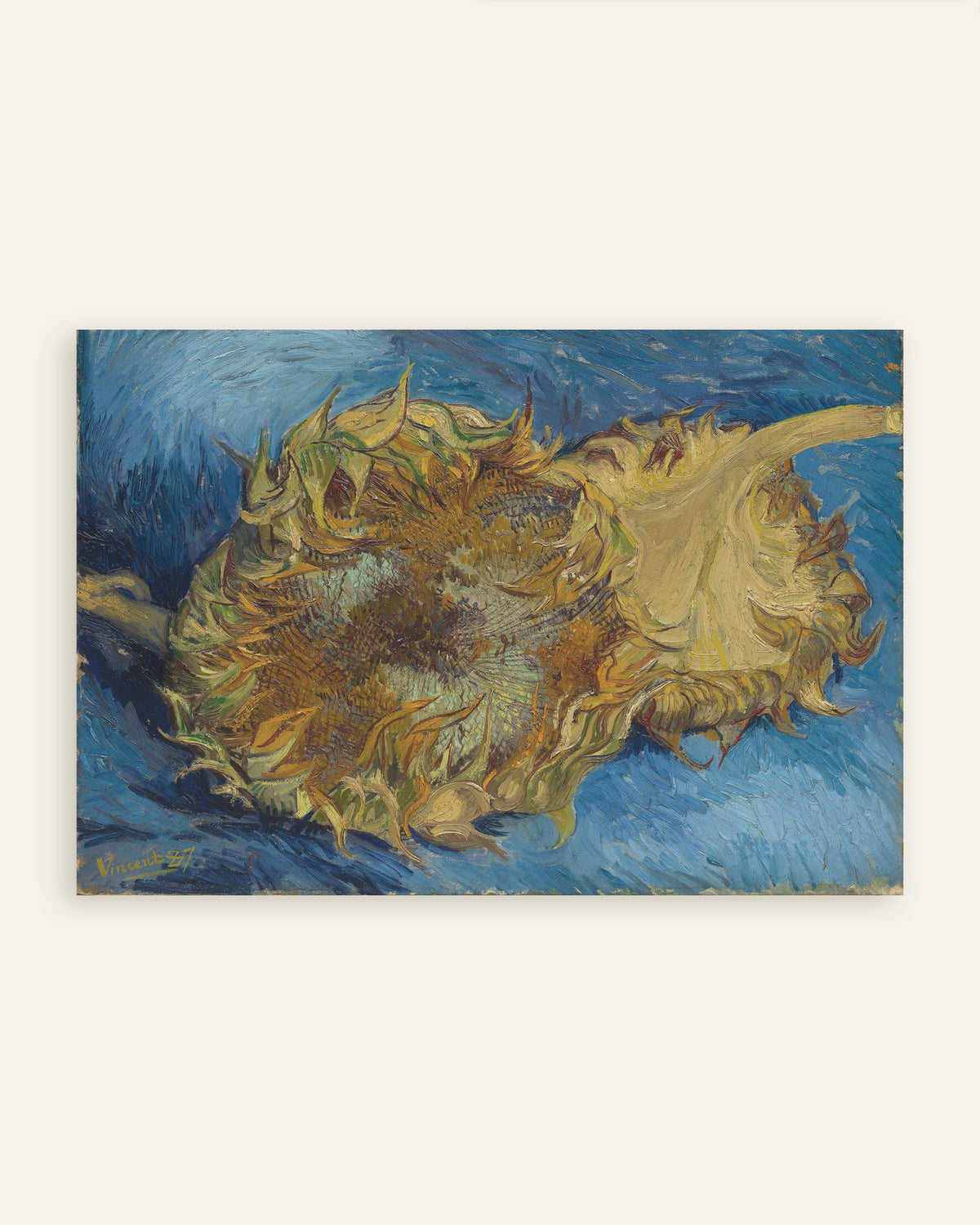 Poster av To avskårne solsikker (1887) av Vincent van Gogh, miniatyrbilde