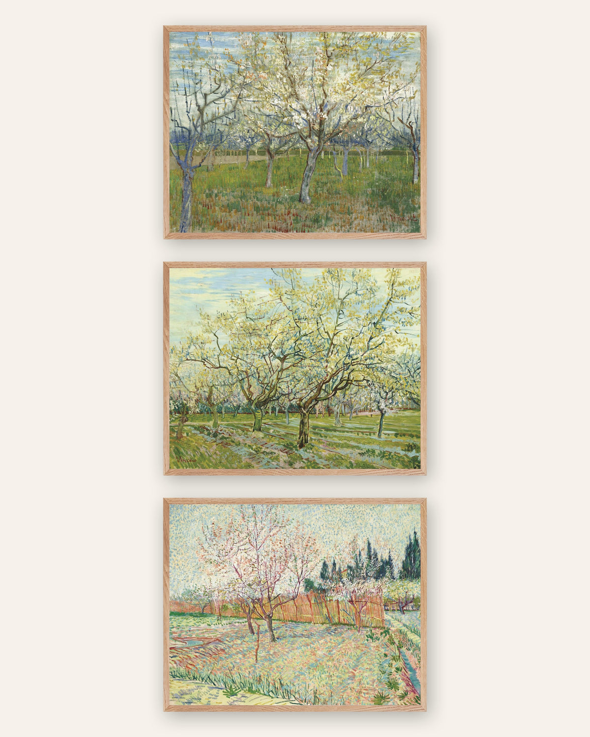 Van Gogh Orchard Prints Set of 3 – Pink, White & Cypress Orchards, prints in natural oak frames
